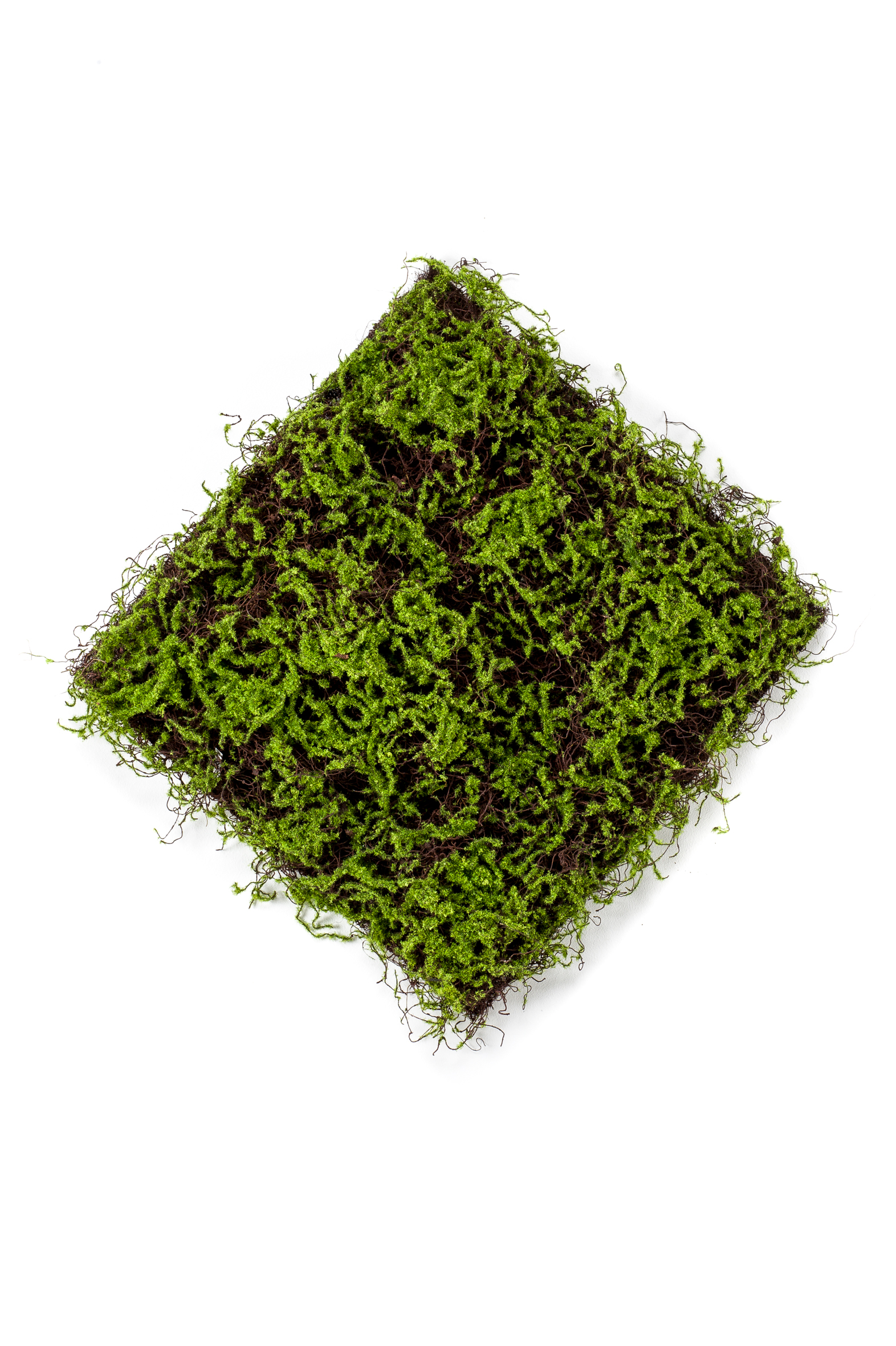 Mousse et herbe en plaque