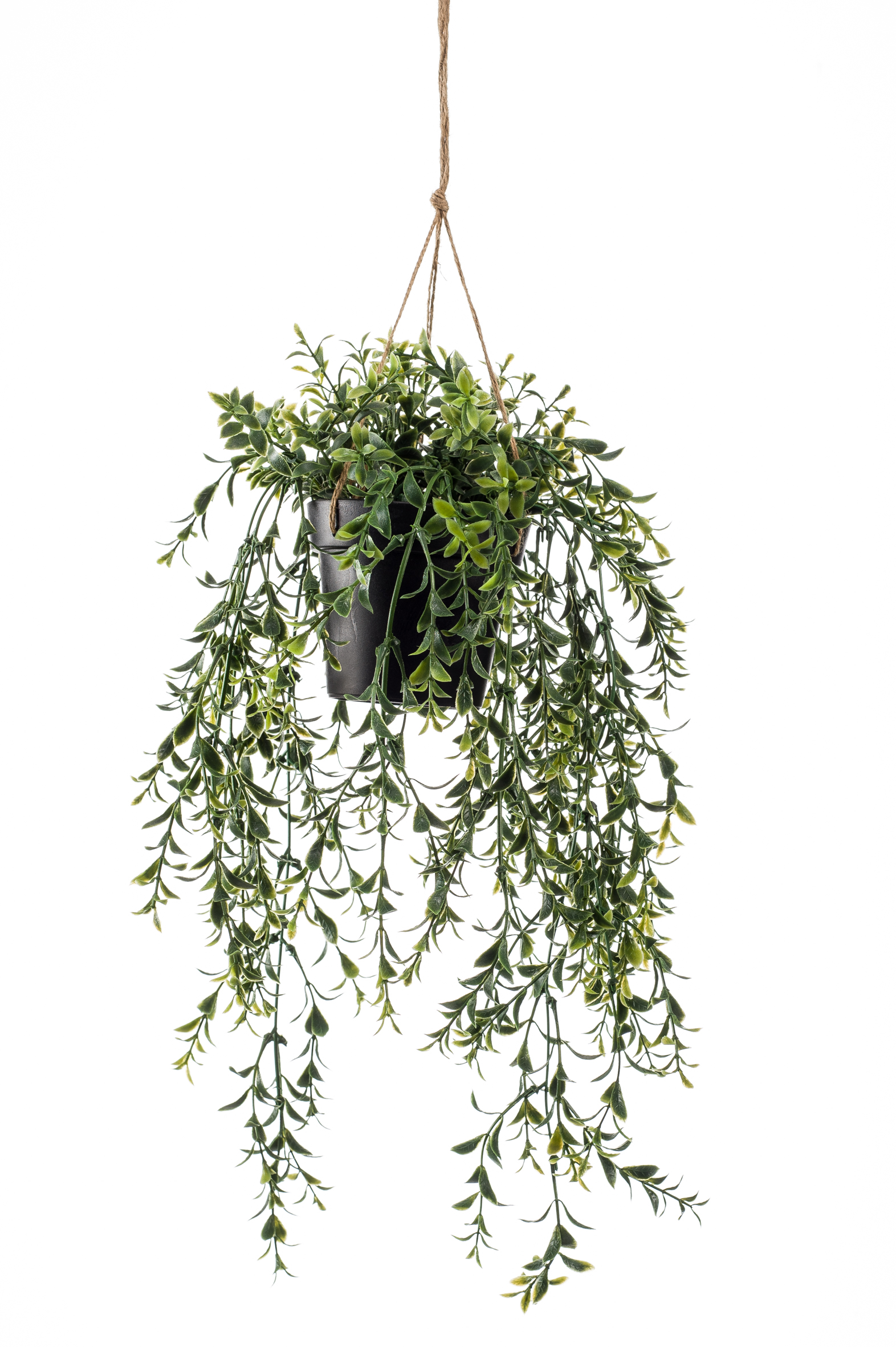 Buis retombant en pot artificiel