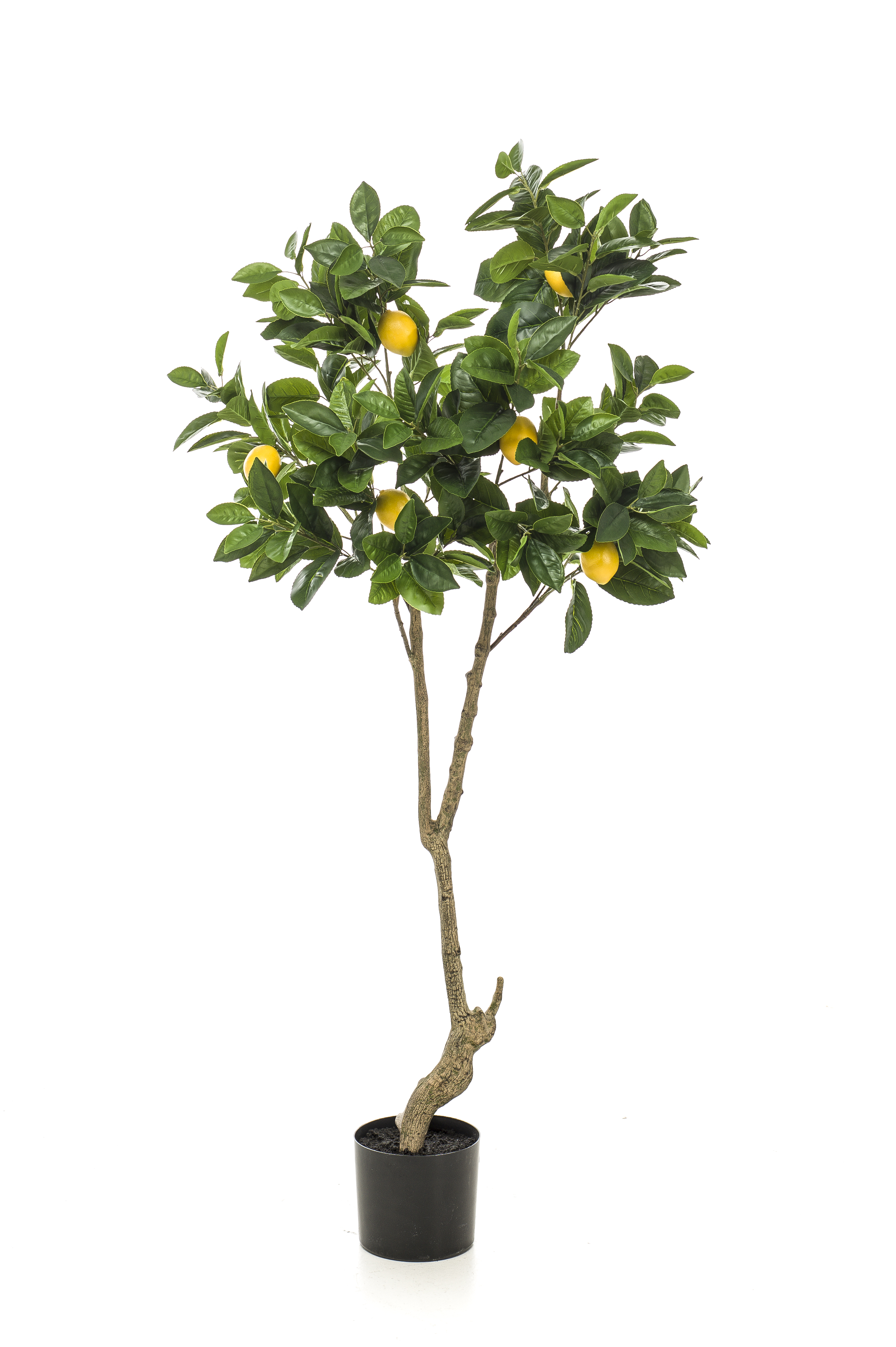 Citronnier artificiel
