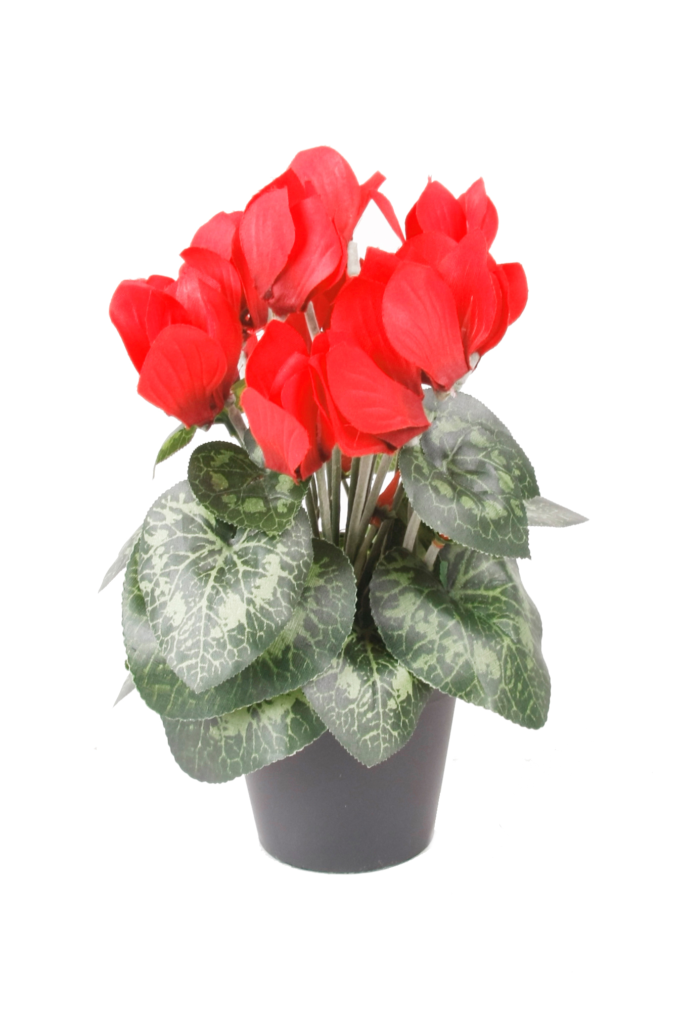 Cyclamen artificiel