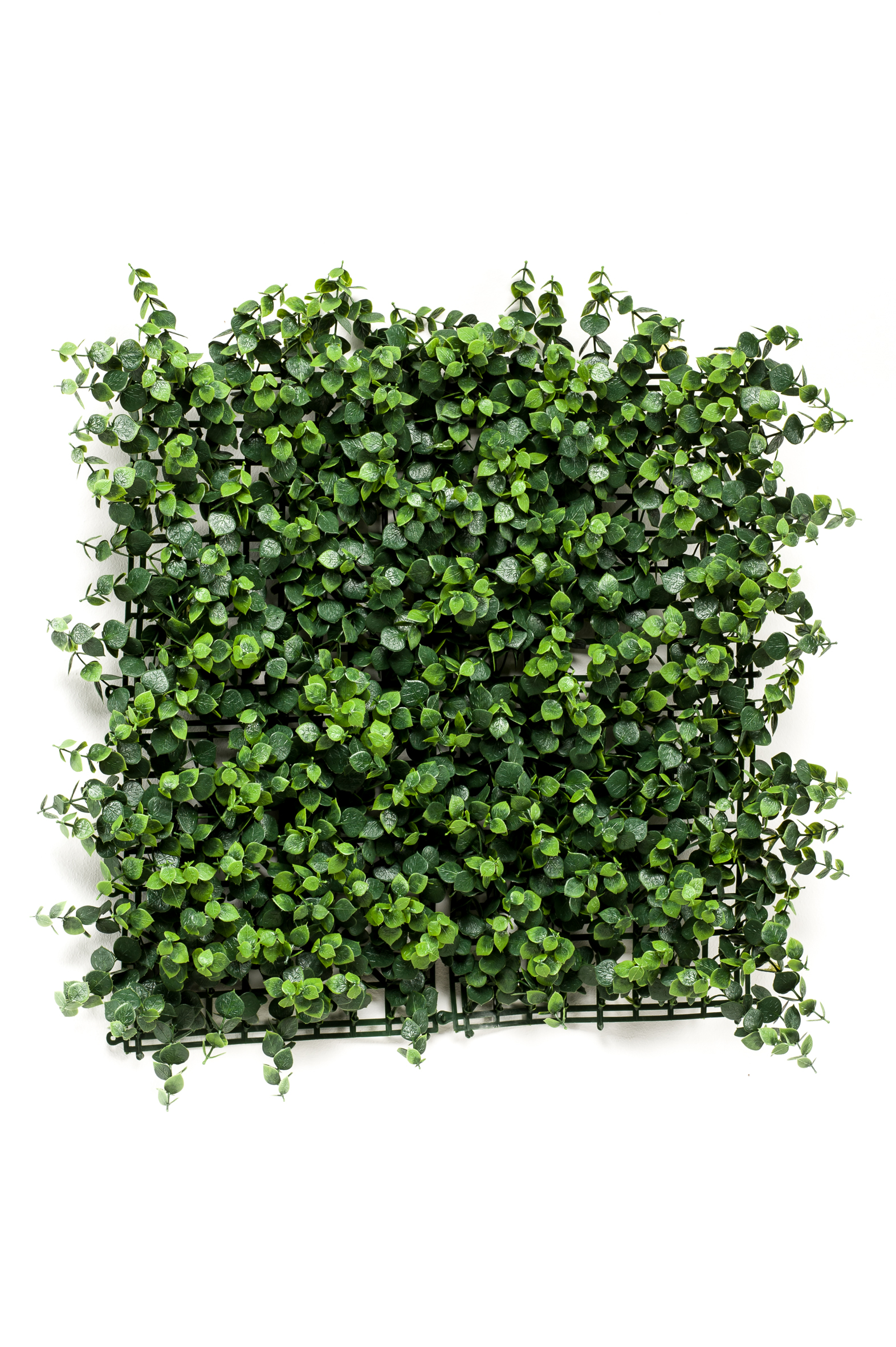 Eucalyptus en plaque résistant UV artificiel