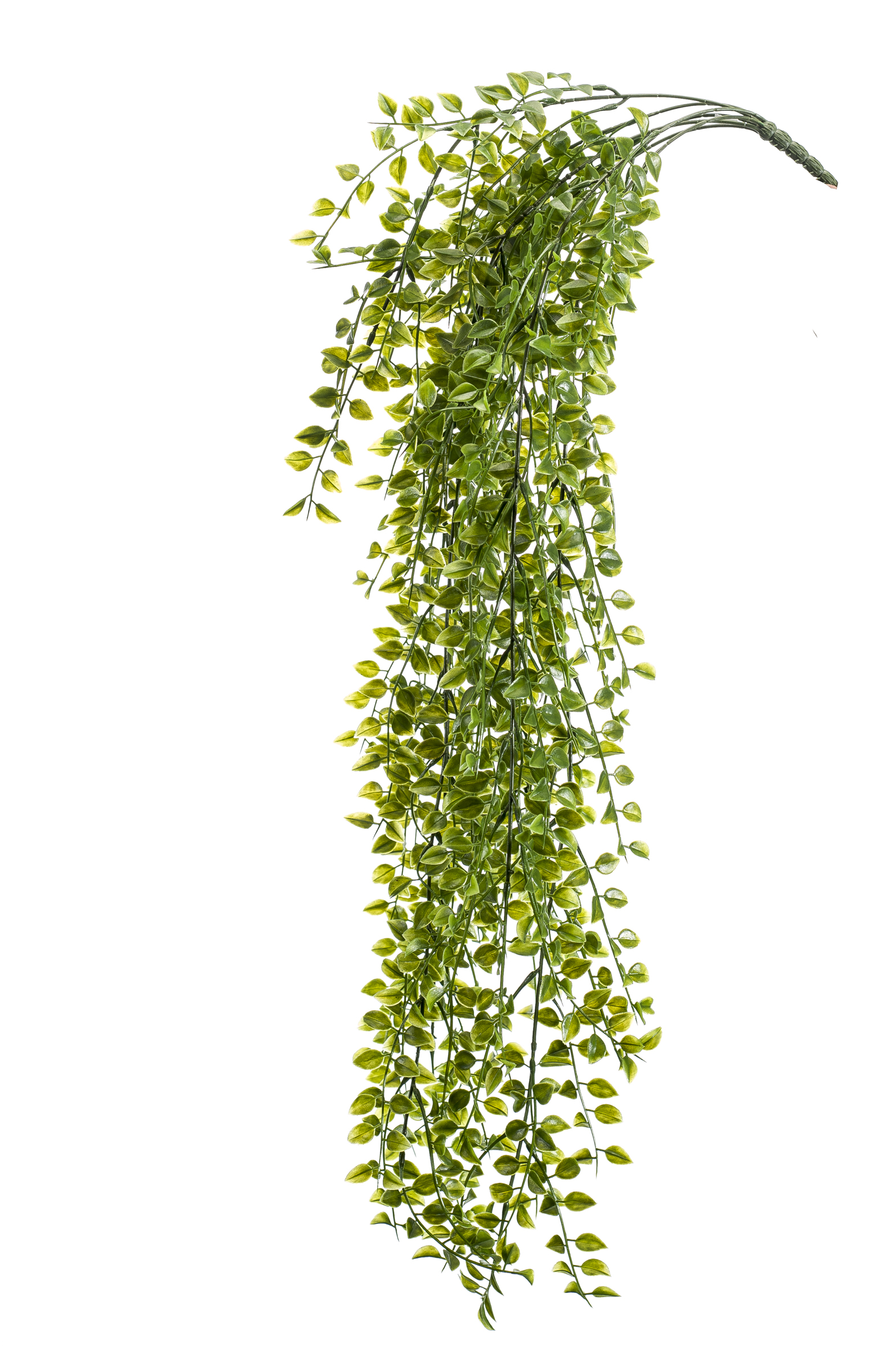 Ficus pumila retombant résistant UV artificiel