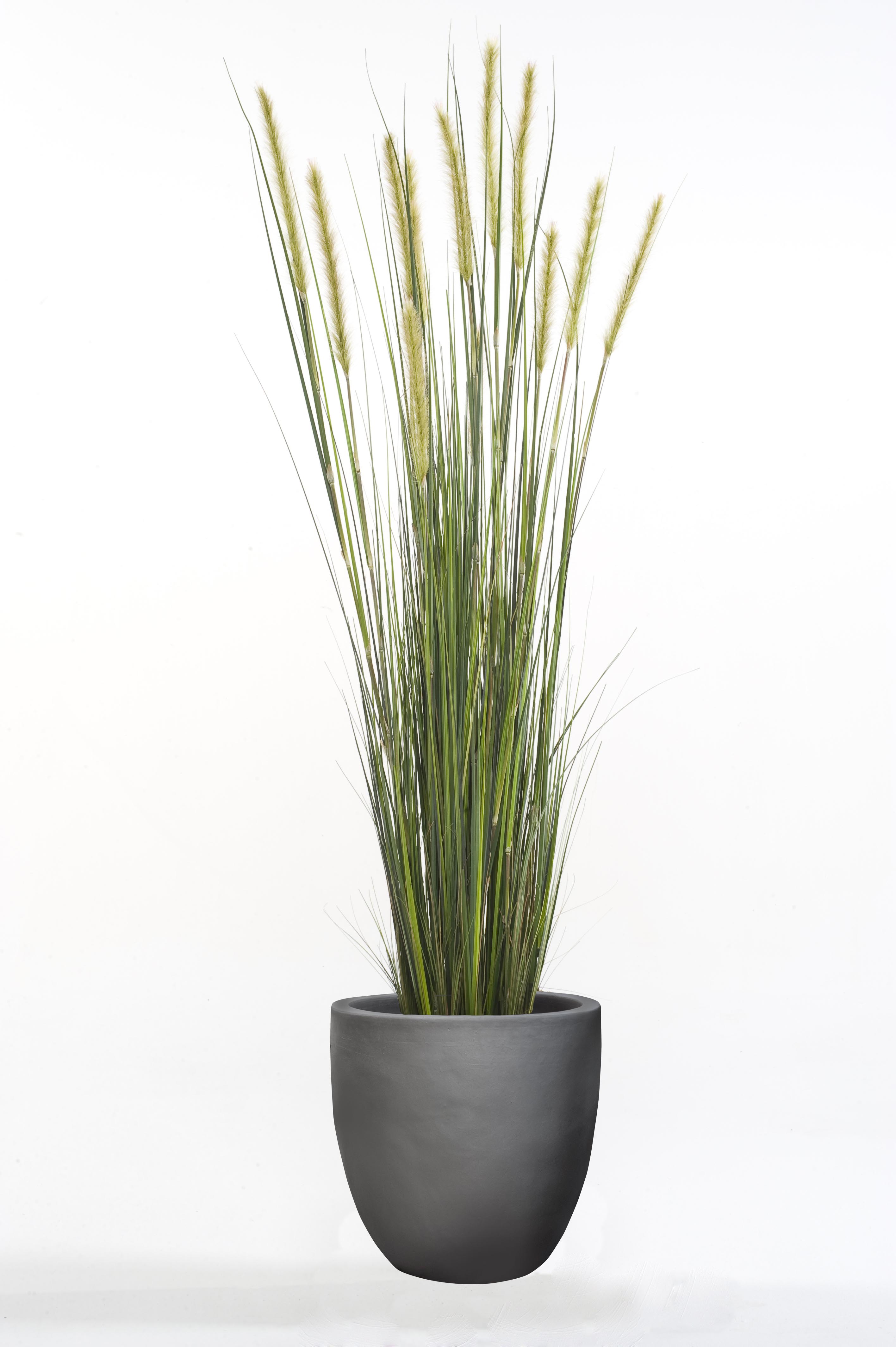 Graminée Foxtail artificielle