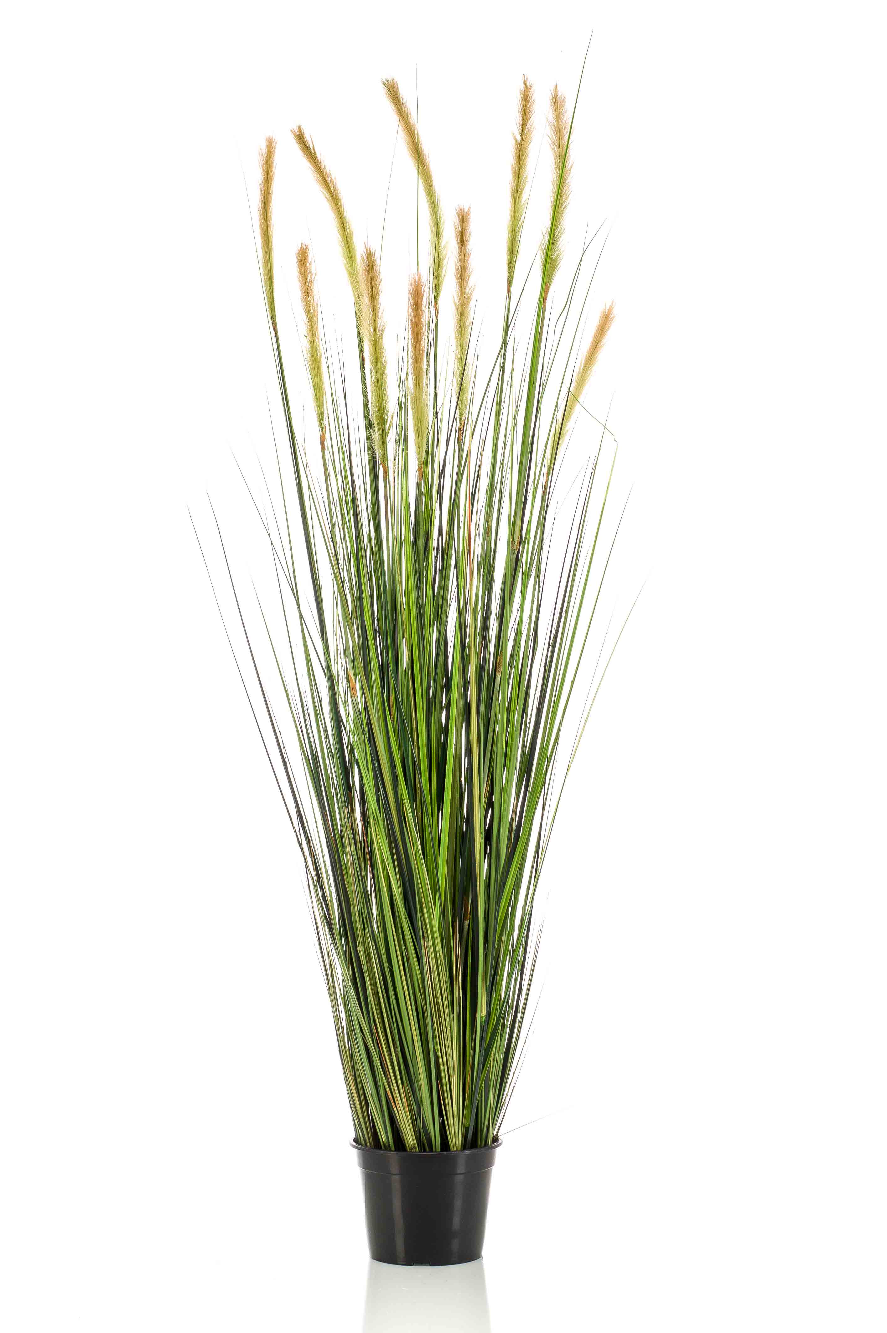 Graminée Foxtail artificielle