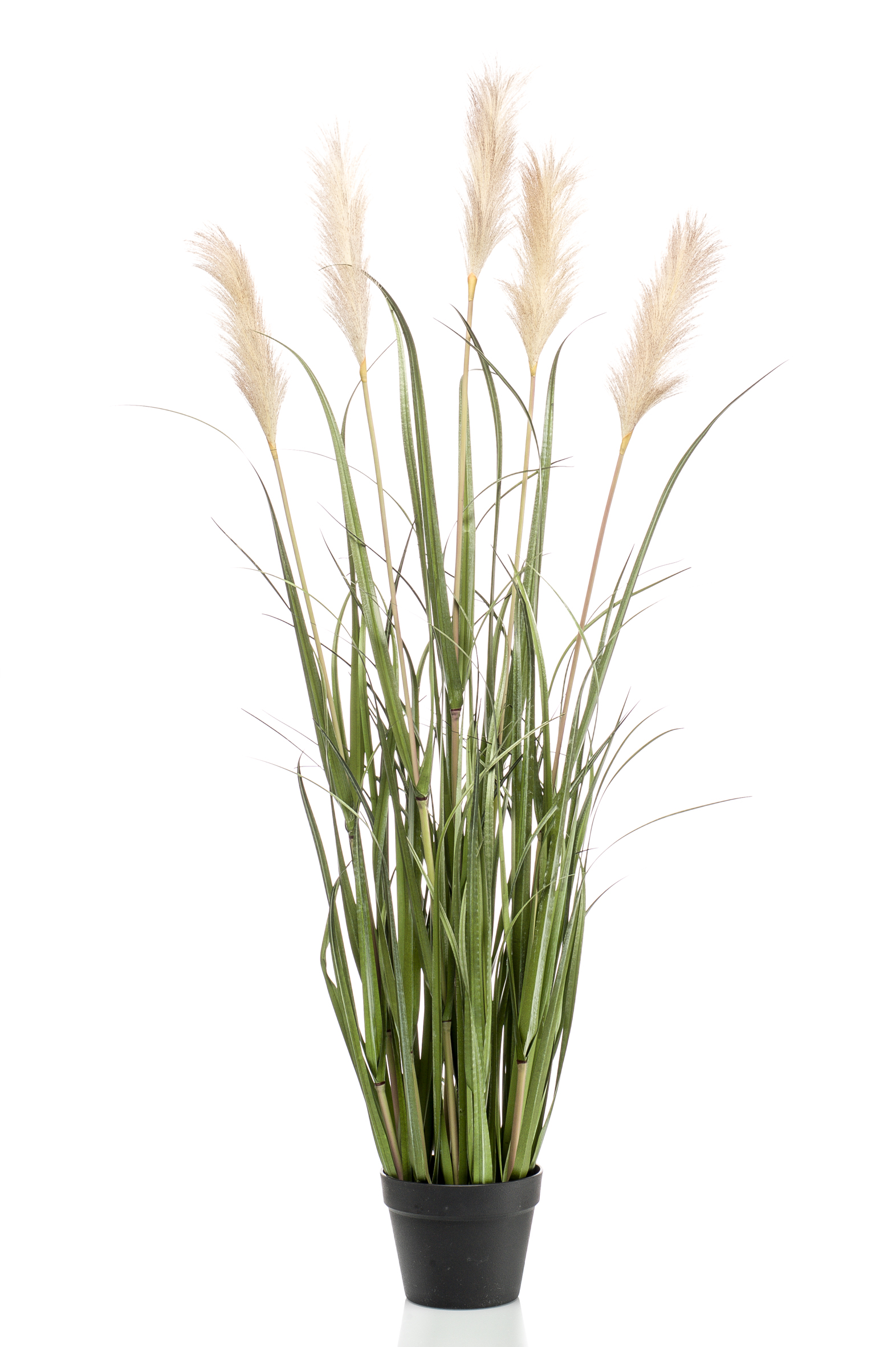 Graminée Pampas artificielle