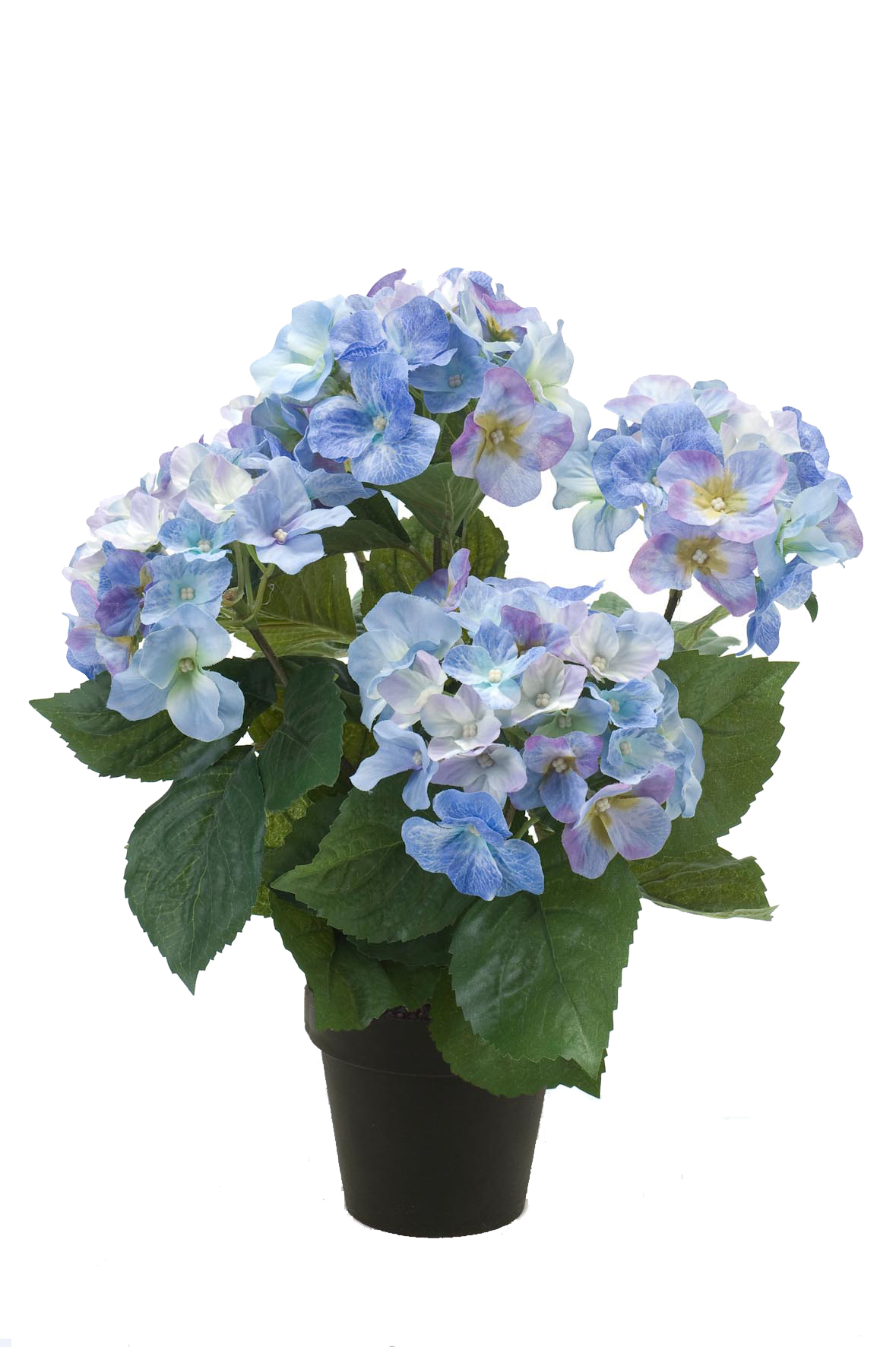 Hortensia artificiel