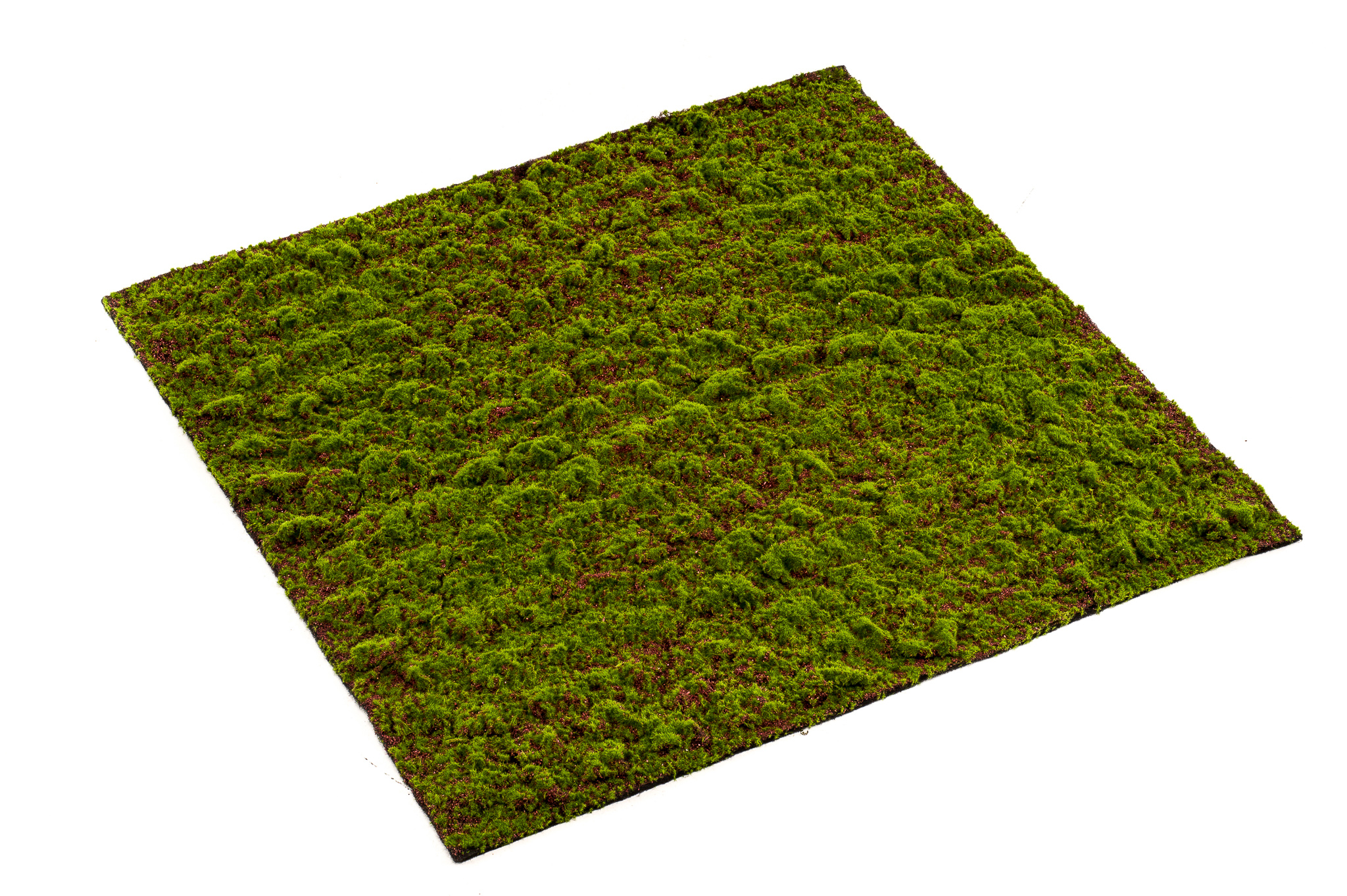 Mousse Grimmia en plaque artificielle