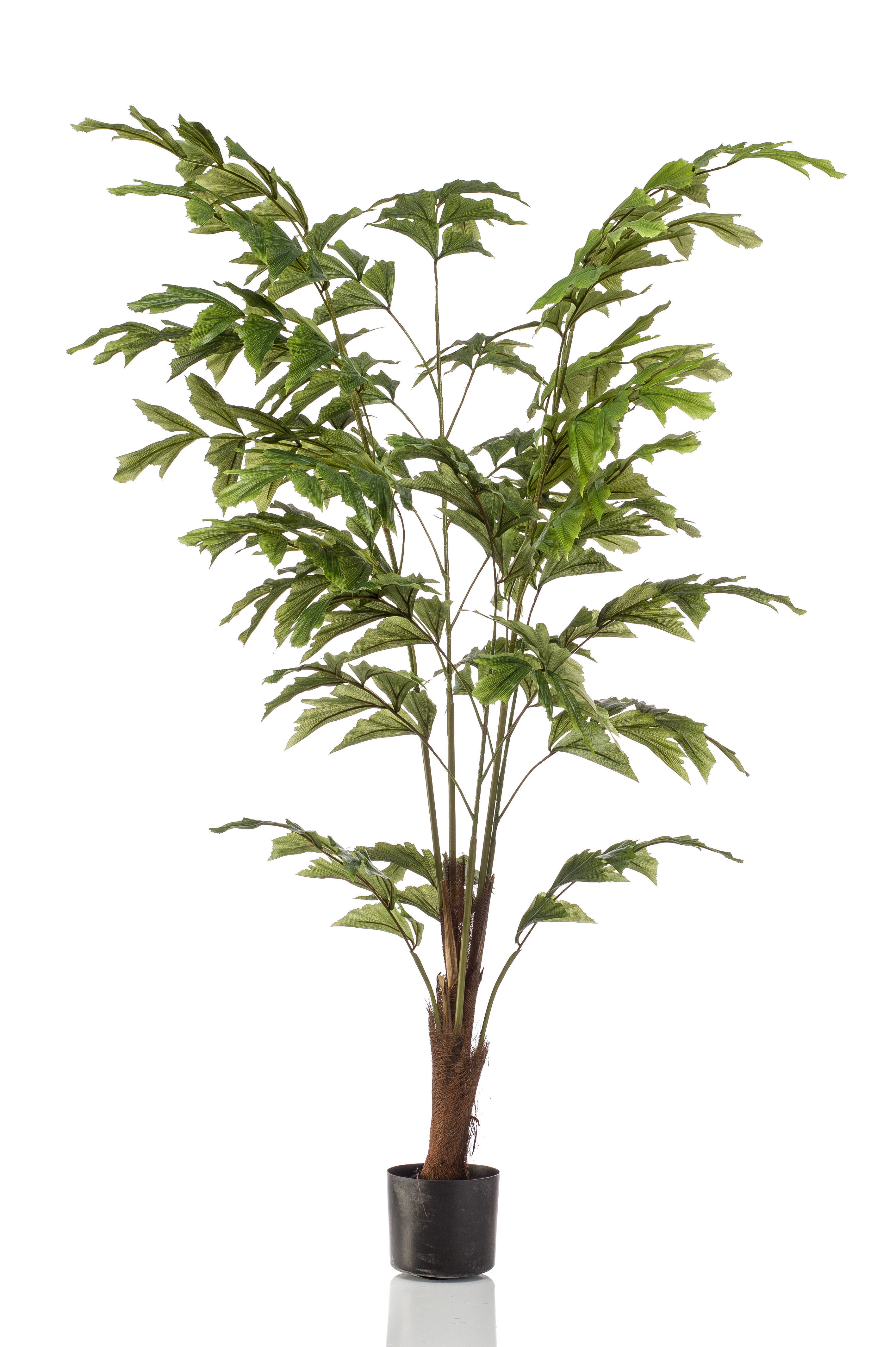 Palmier Caryota artificiel