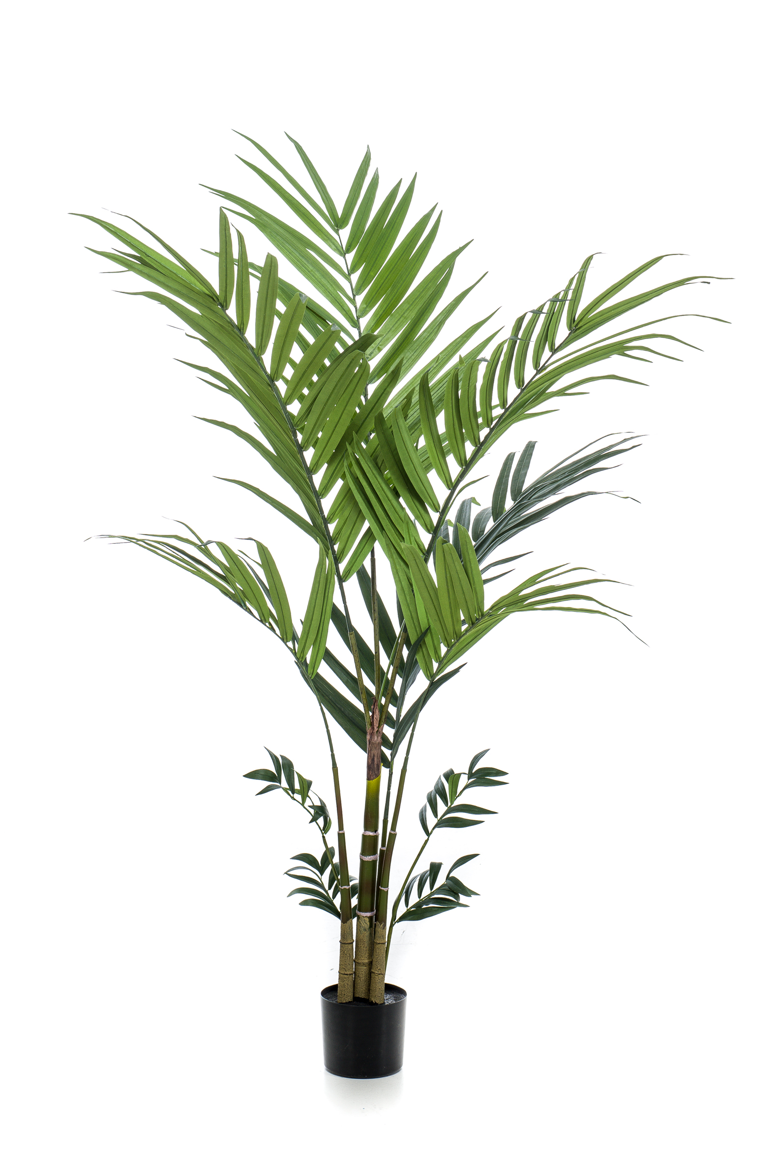 Palmier Kentia artificiel