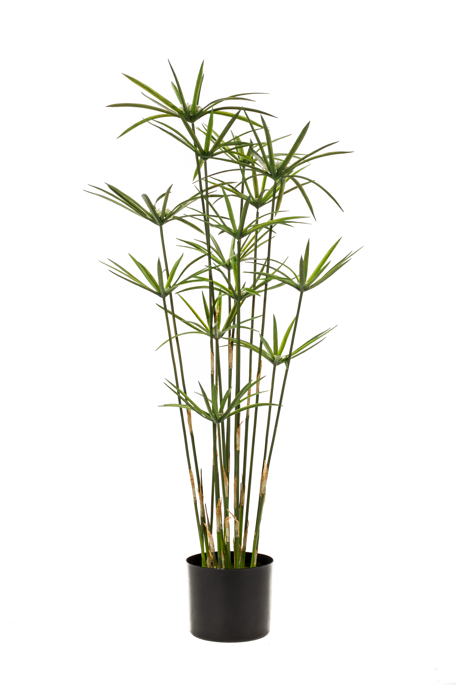Papyrus artificiel