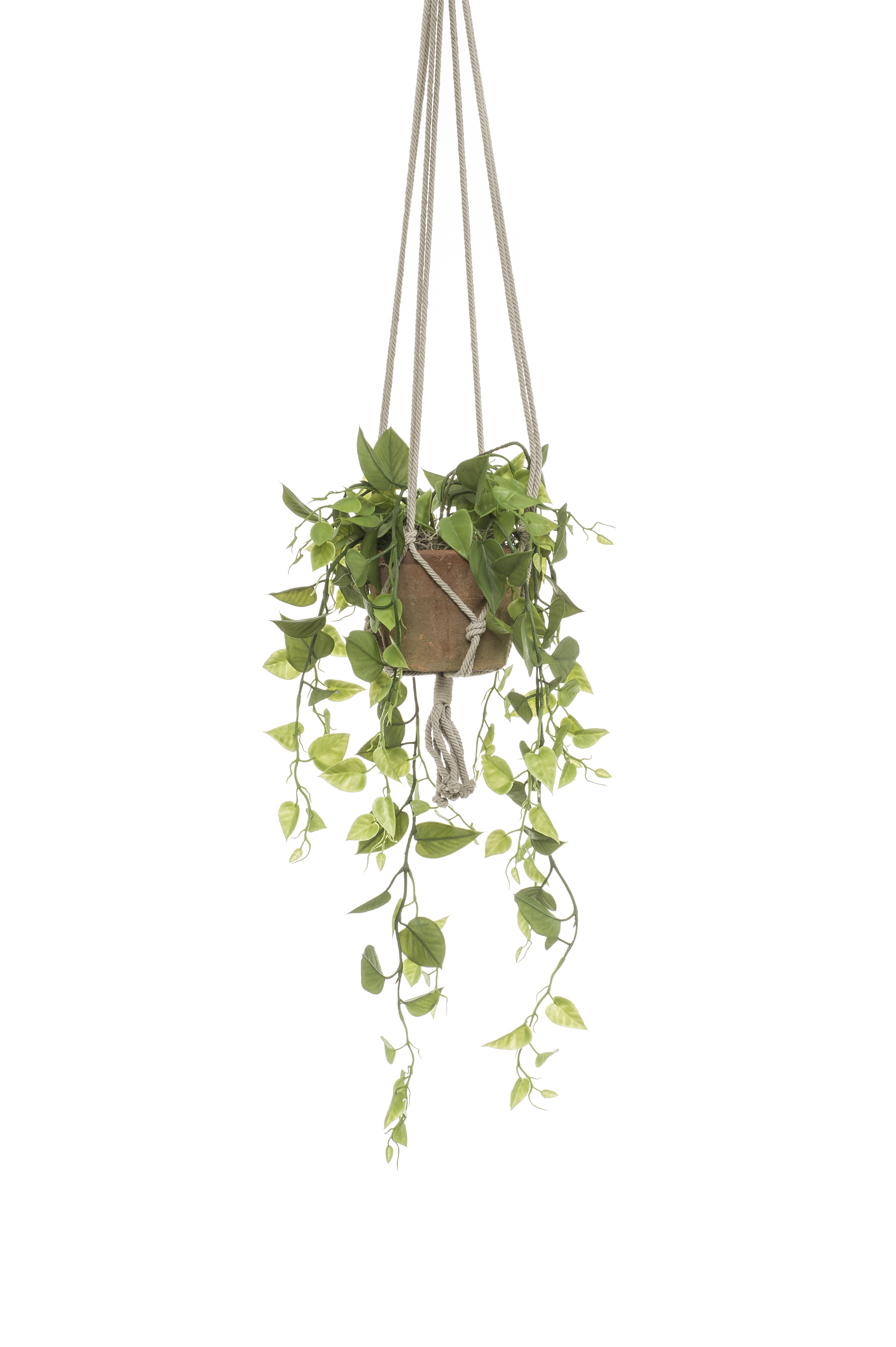 Philodendron à suspendre artificiel