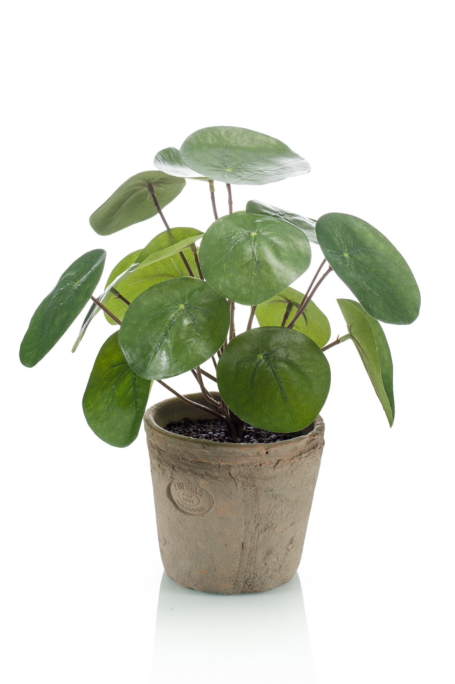 Pilea en pot antique artificiel