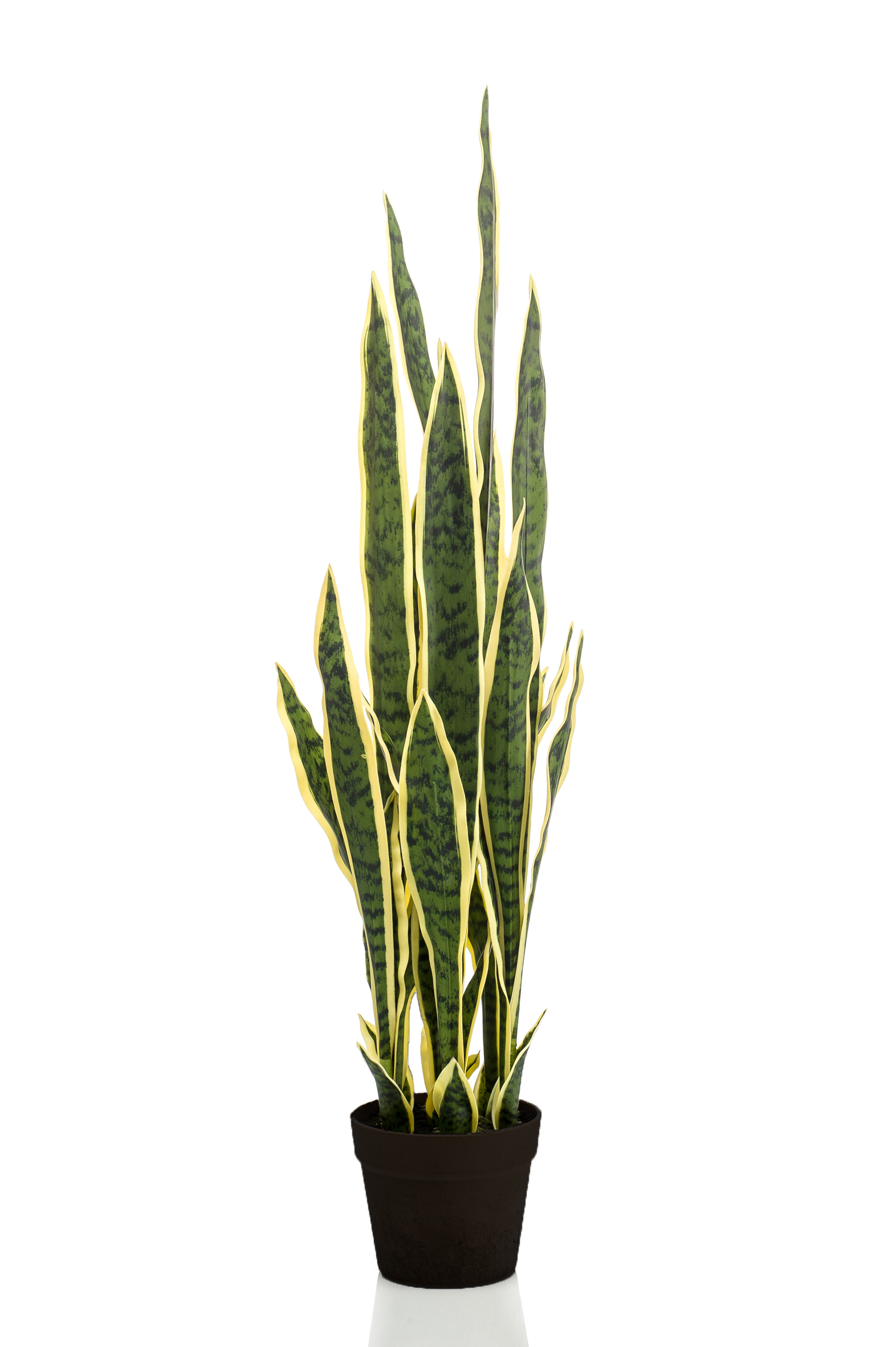 Sansevieria vert artificiel