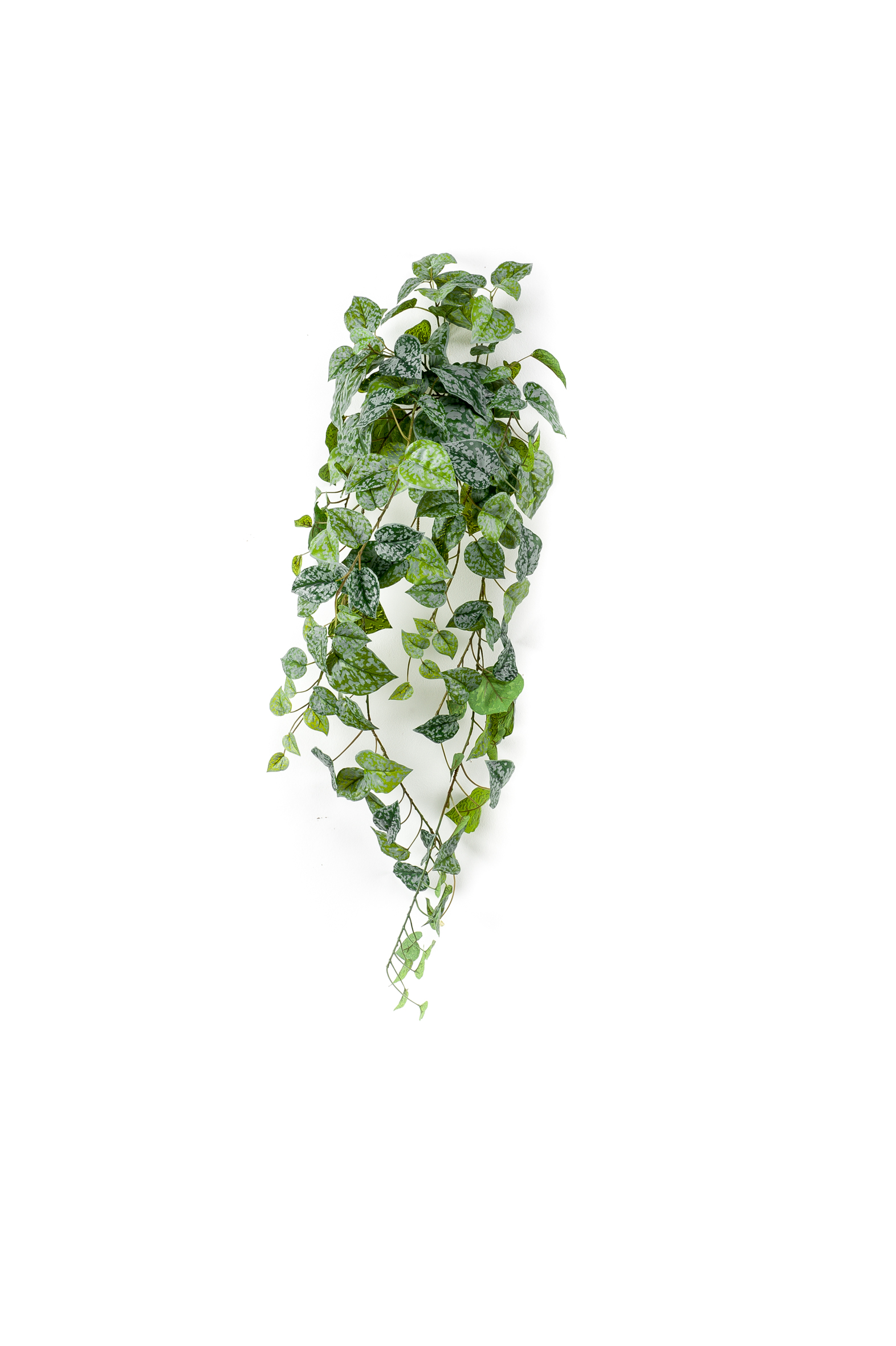 Scindapsus pictus retombant artificiel