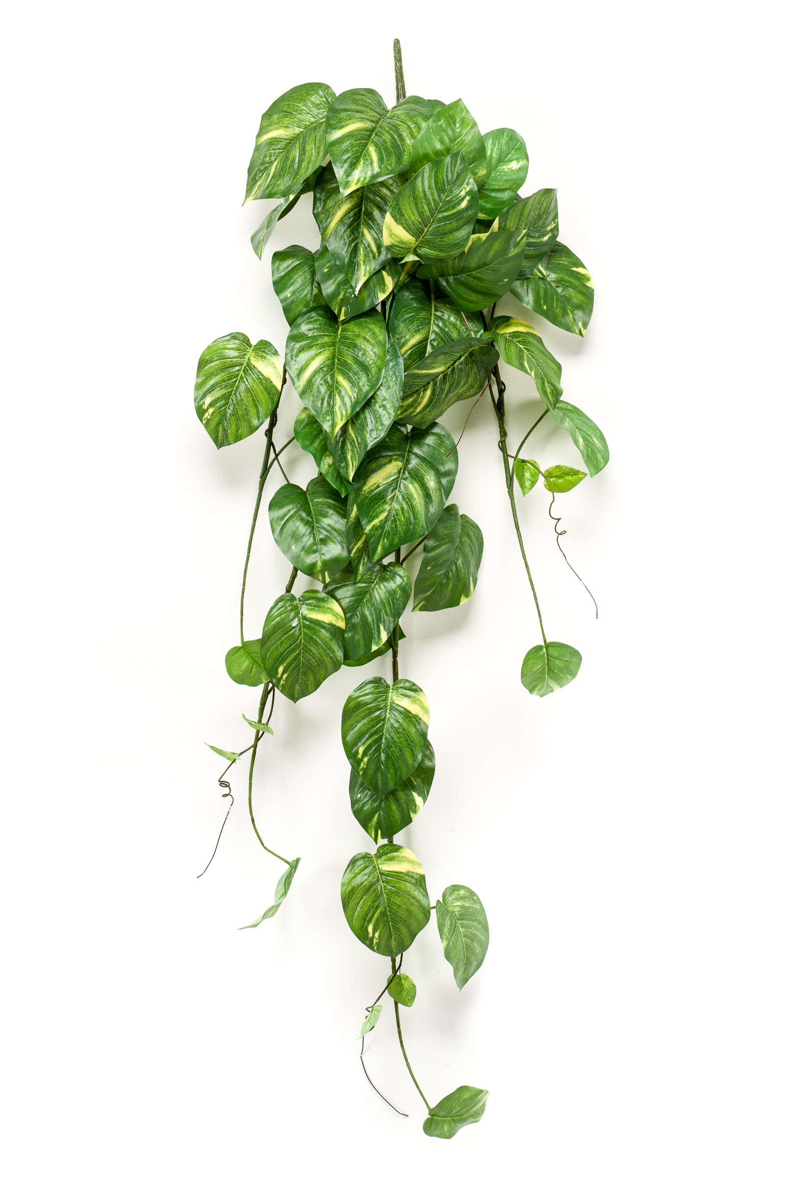 Scindapsus retombant artificiel