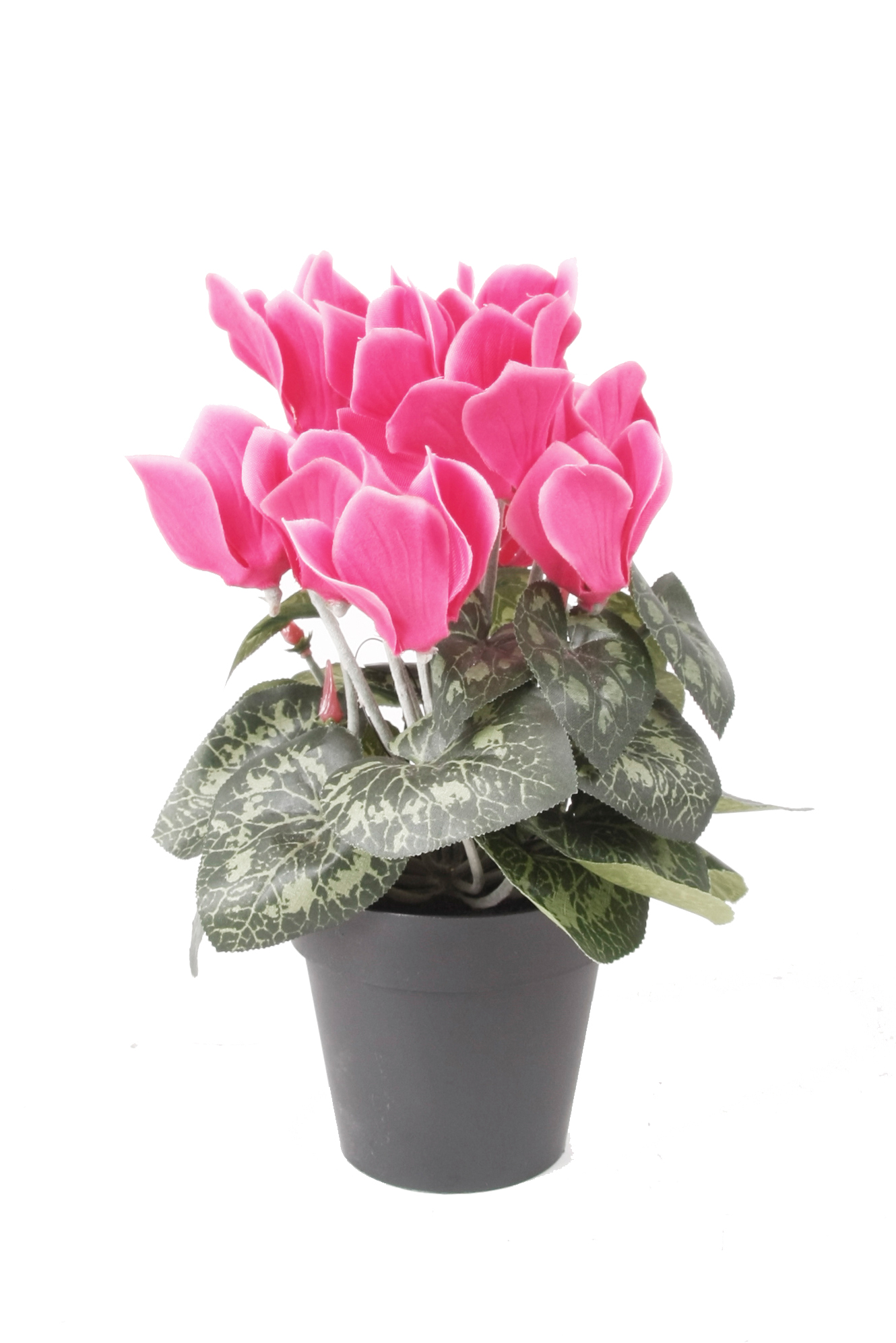 Cyclamen artificiel