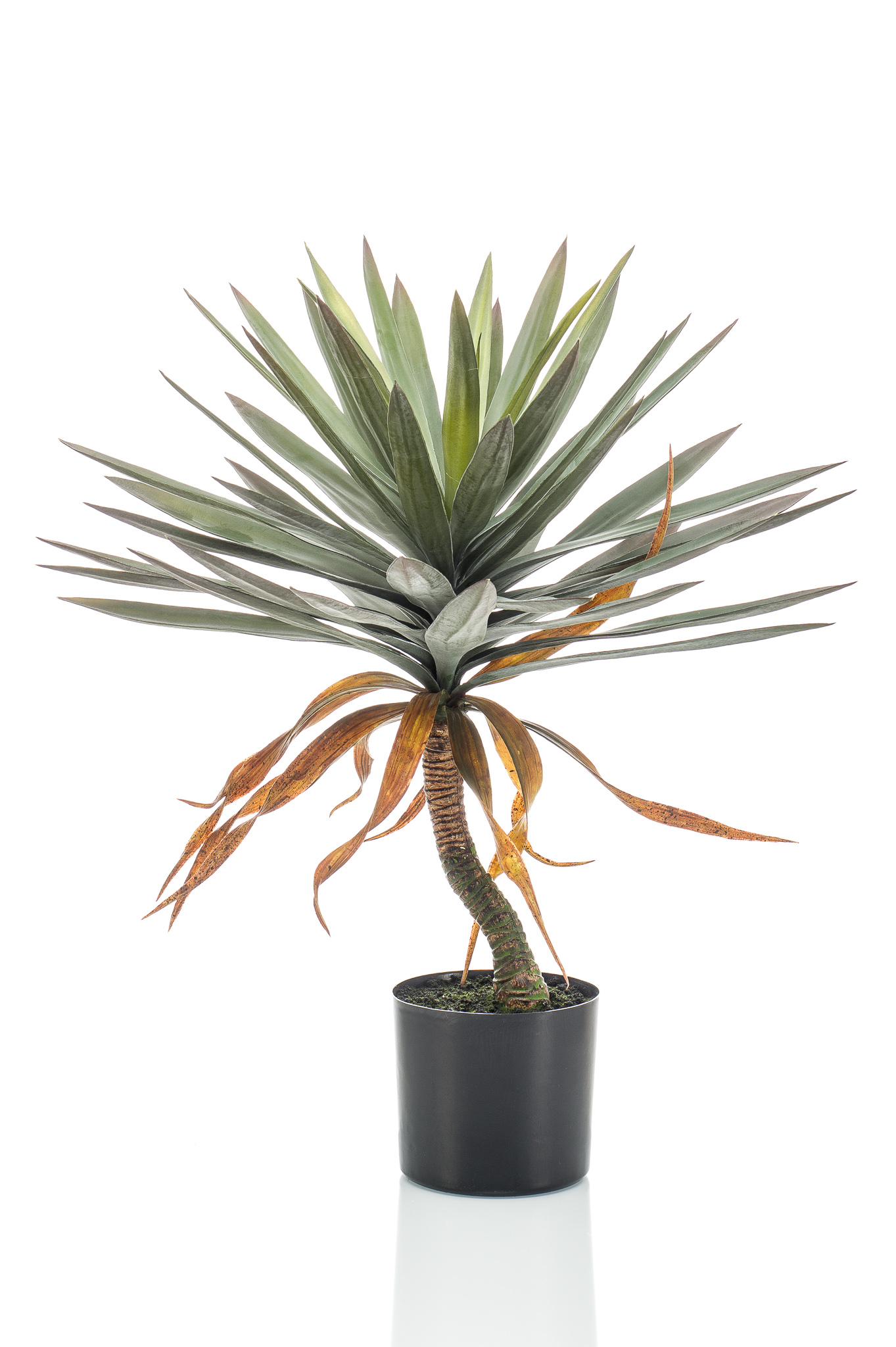 Yucca artificiel
