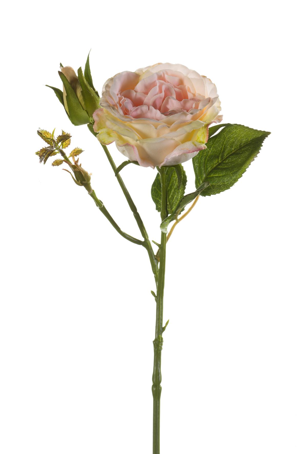 Rose Anne artificielle