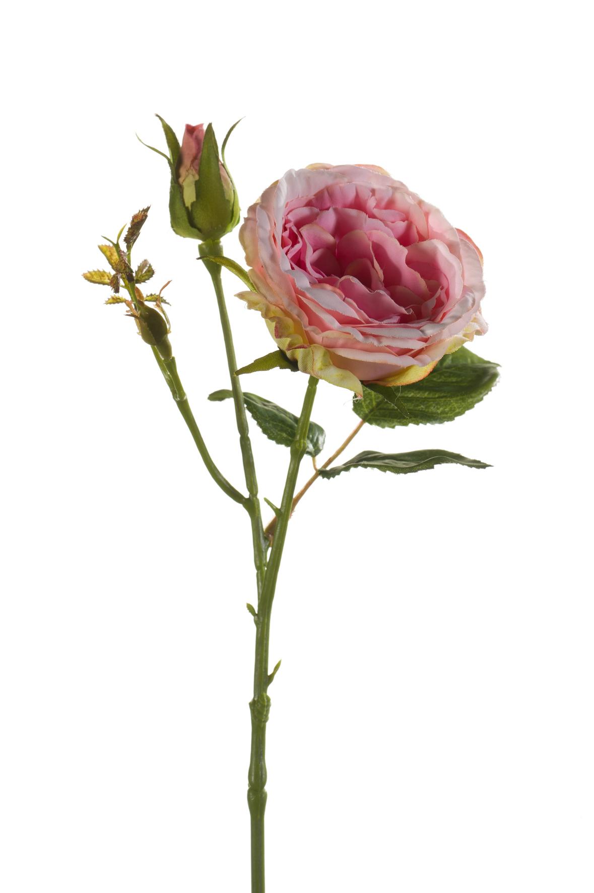 Rose Anne artificielle