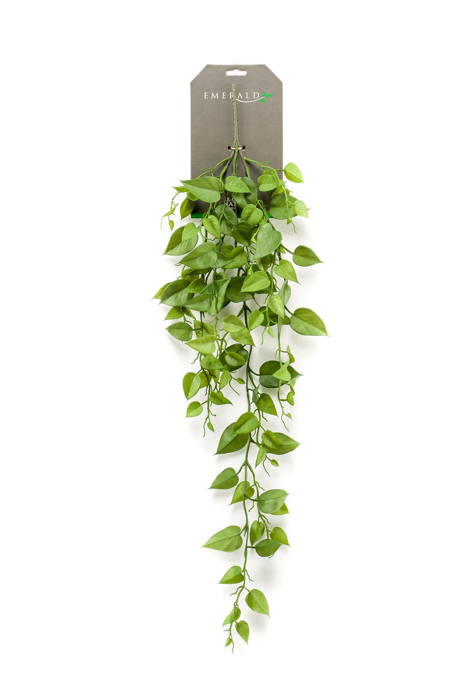 Philondendron retombant artificiel