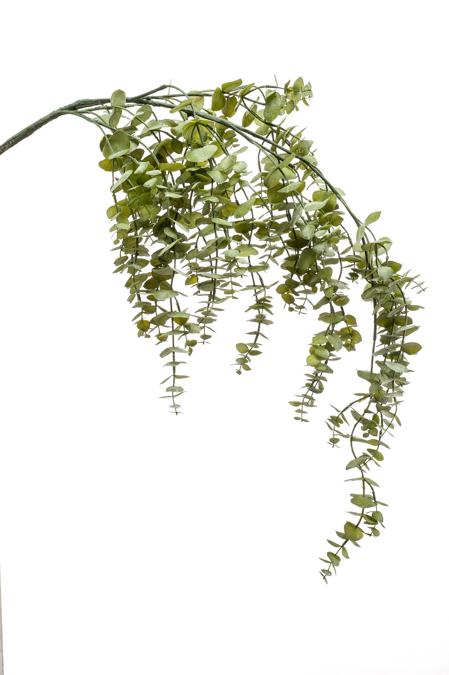 Eucalyptus retombant artificiel