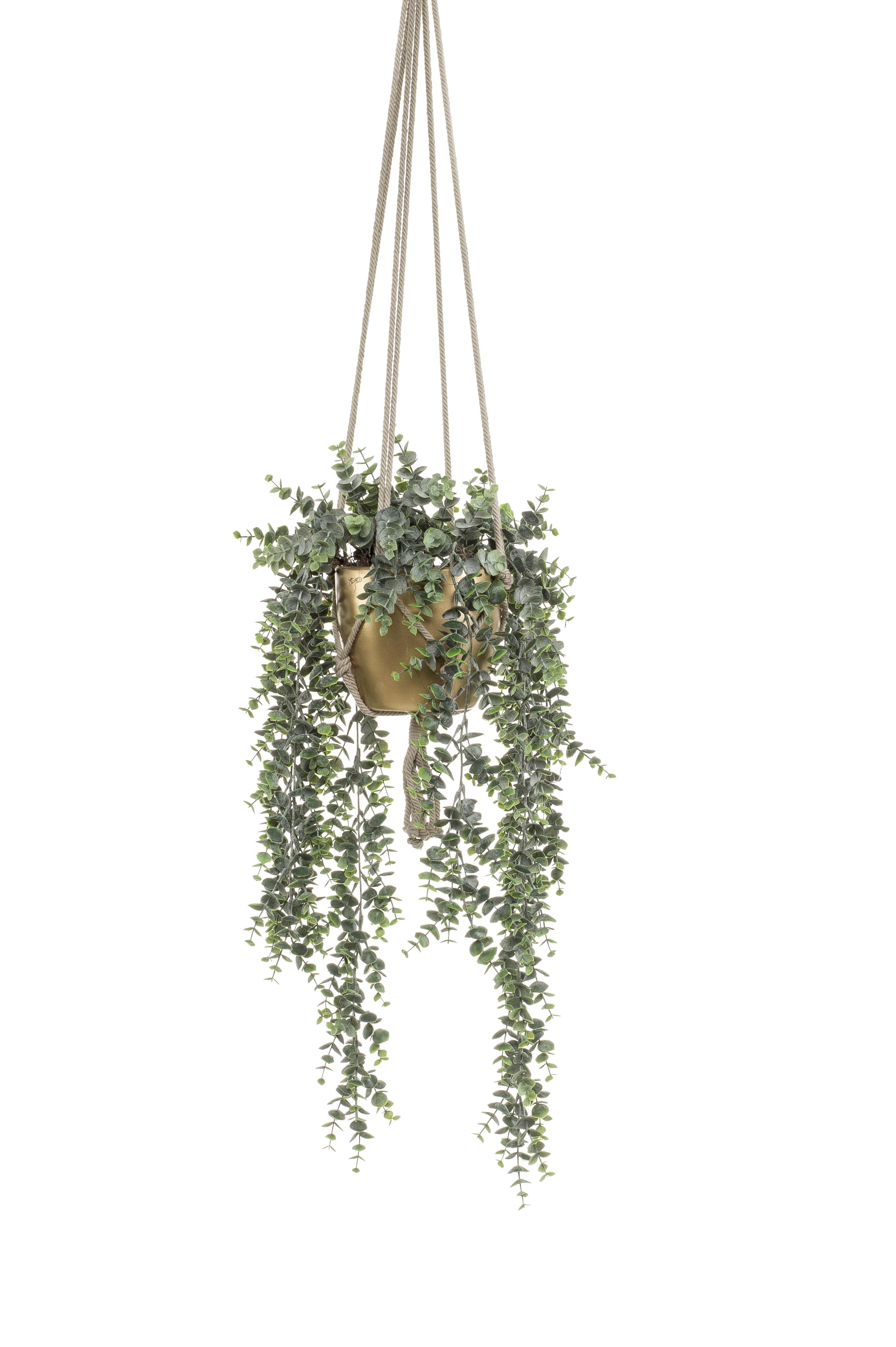 Eucalyptus à suspendre pot or artificiel