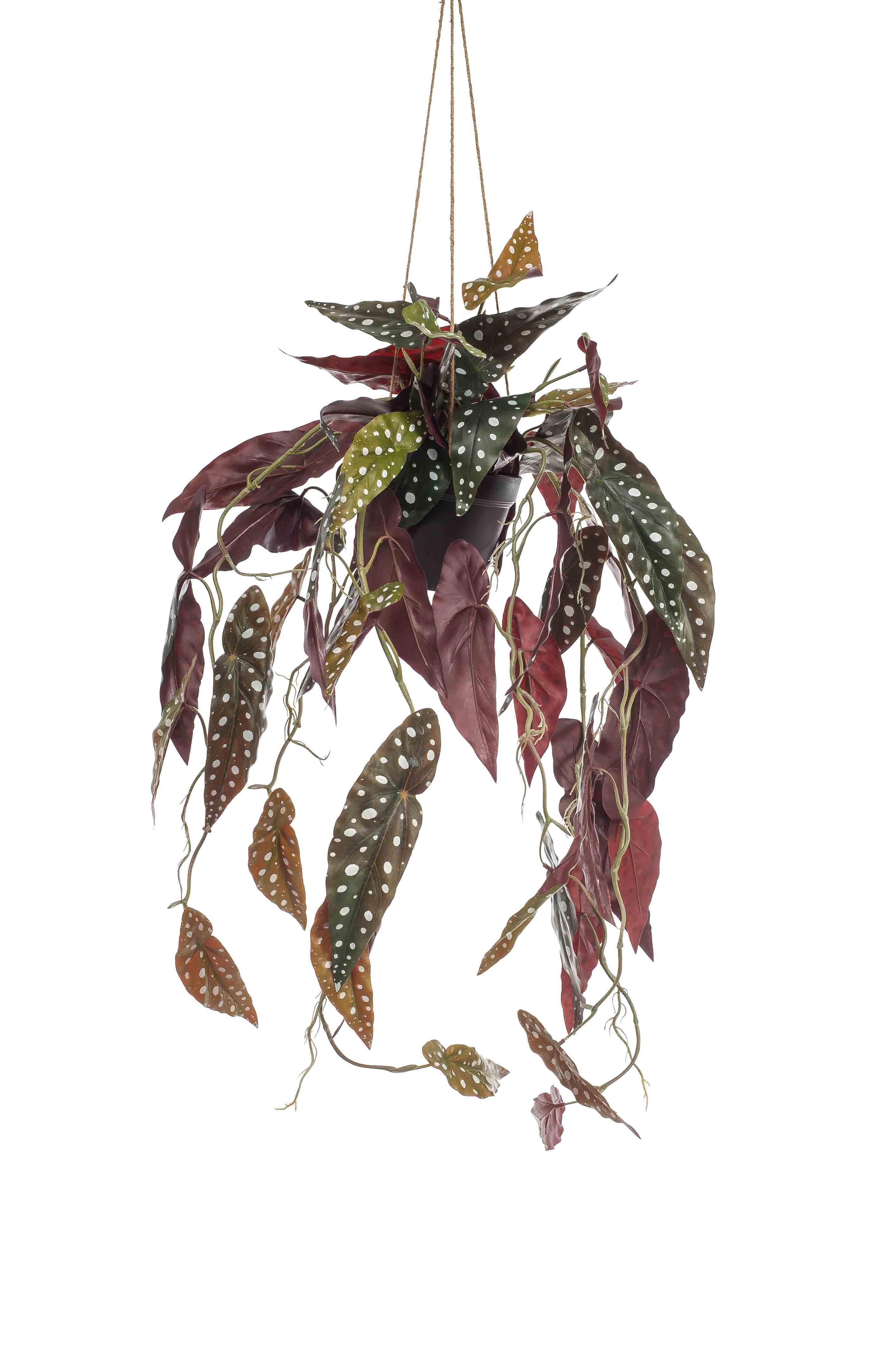 Begonia maculata à suspendre artificiel