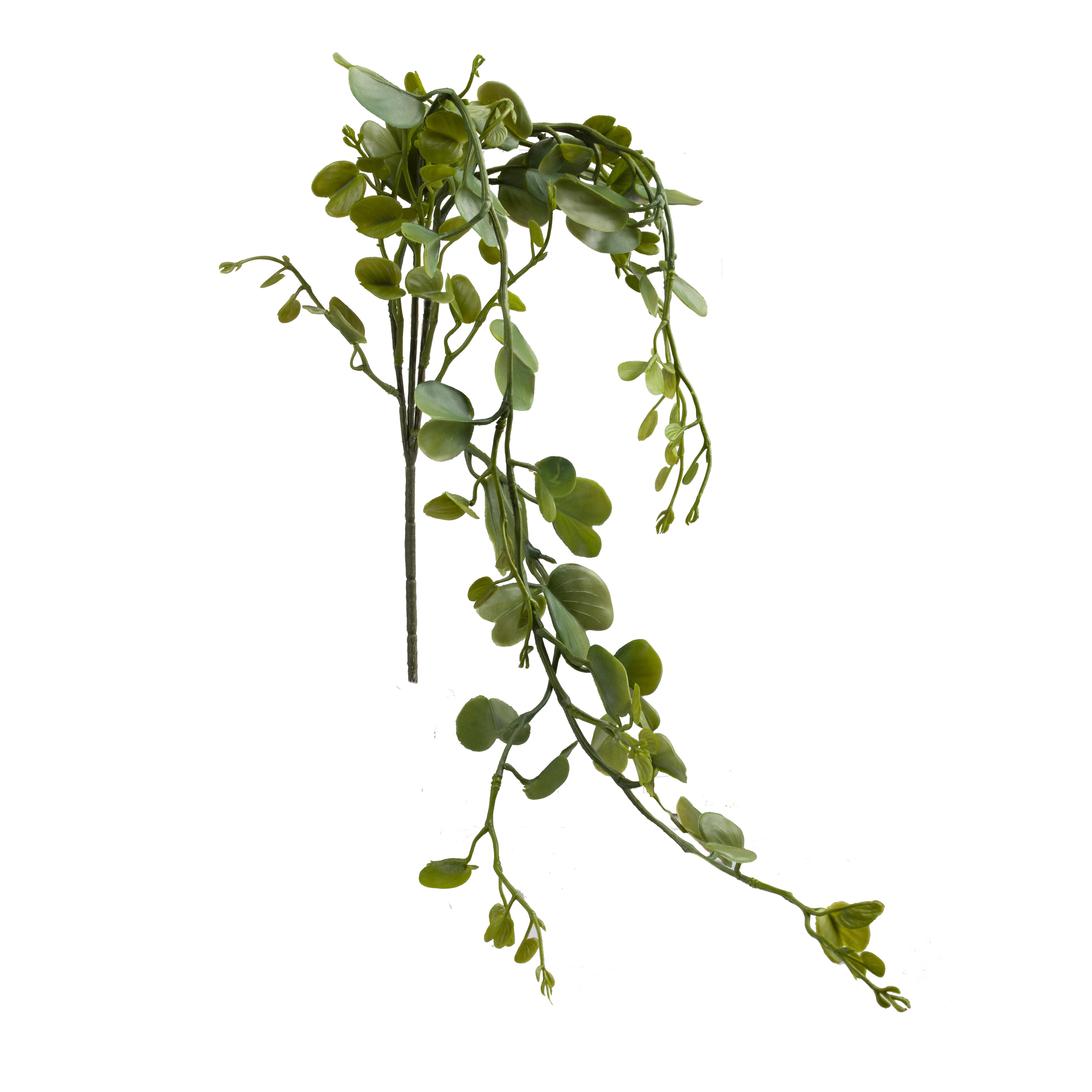 Hoya kerri retombant artificiel