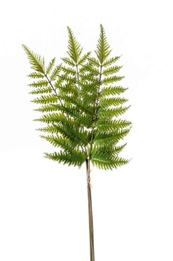 Fougère en branche artificielle