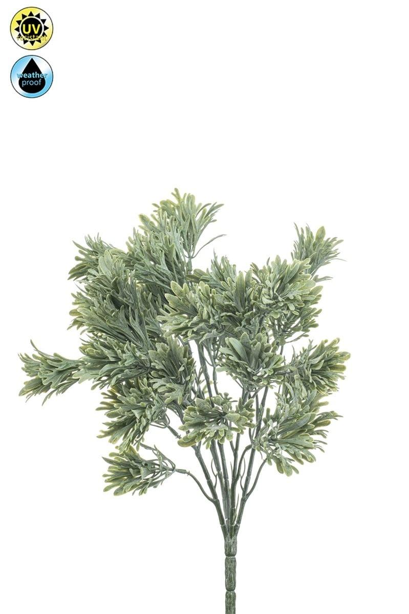 Thym résistant UV artificiel