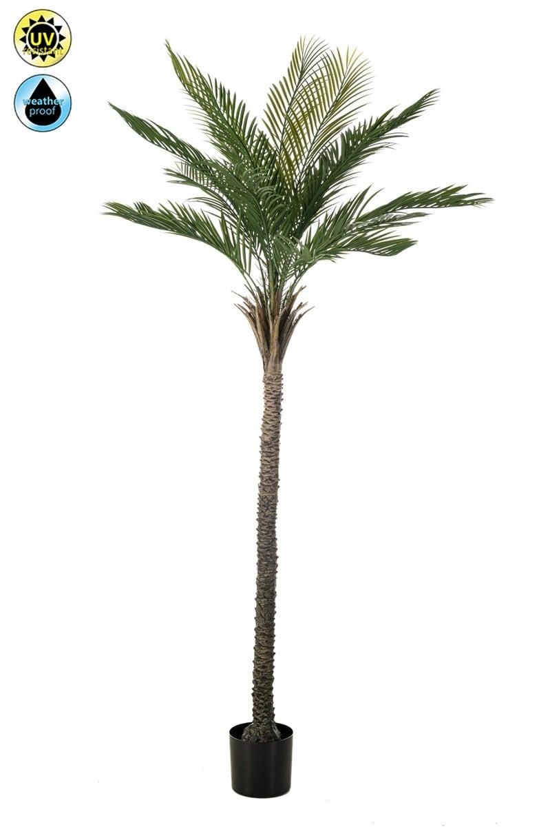Palmier Phoenix résistant UV artificiel