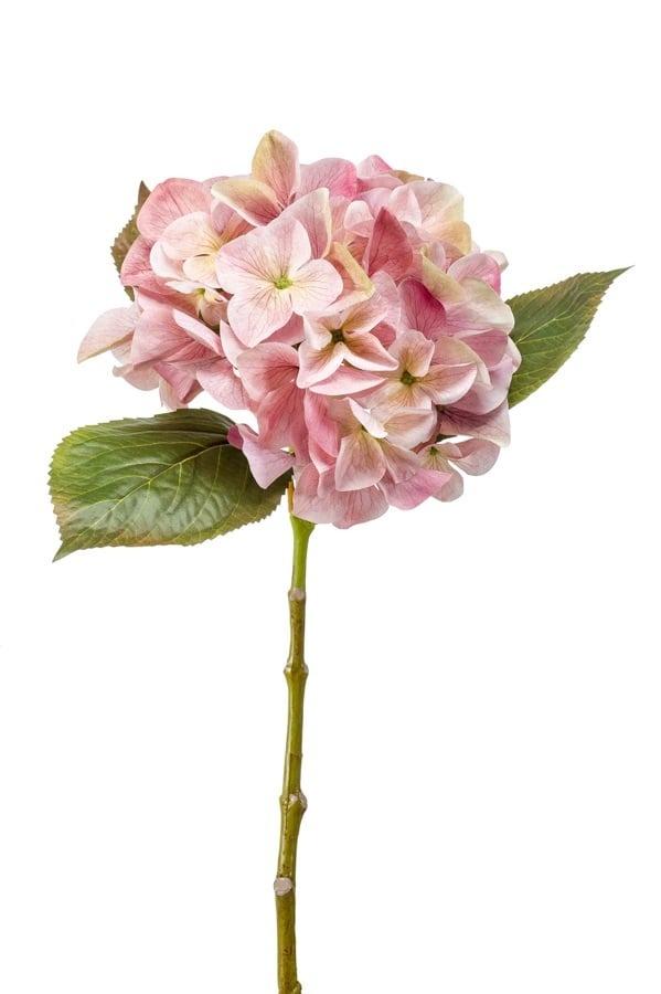 Hortensia Challenge en branche artificiel
