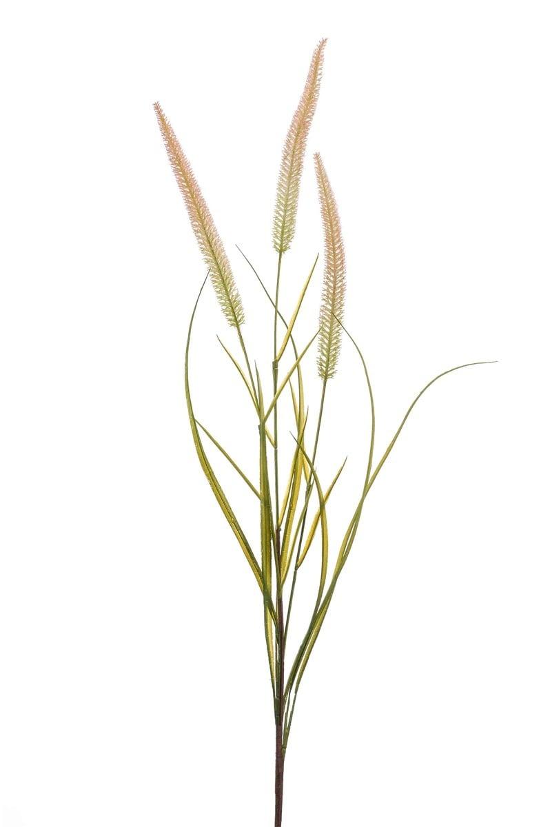 Pennisetum en branche artificiel