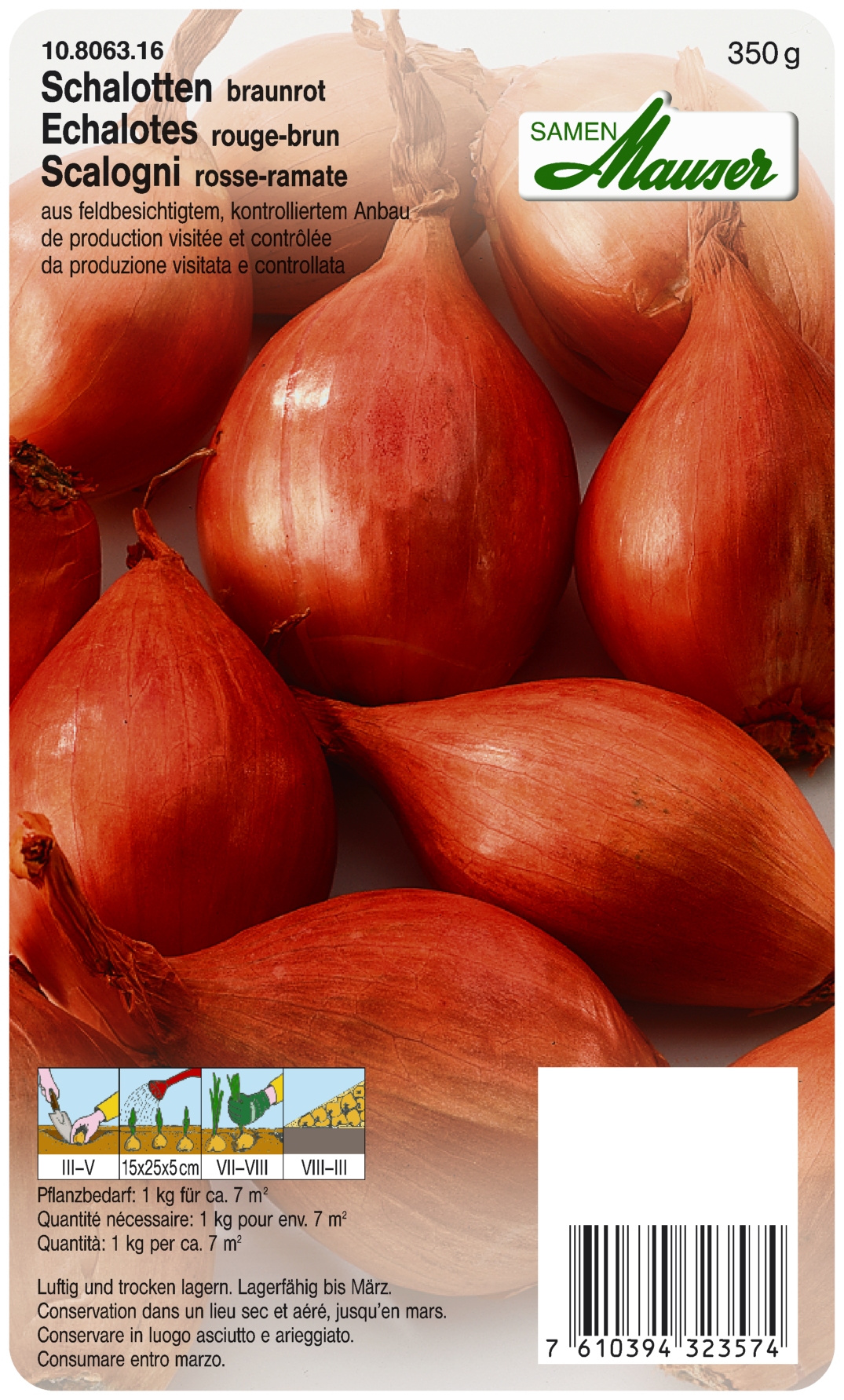Echalotes   'Succes' Rouge Brun