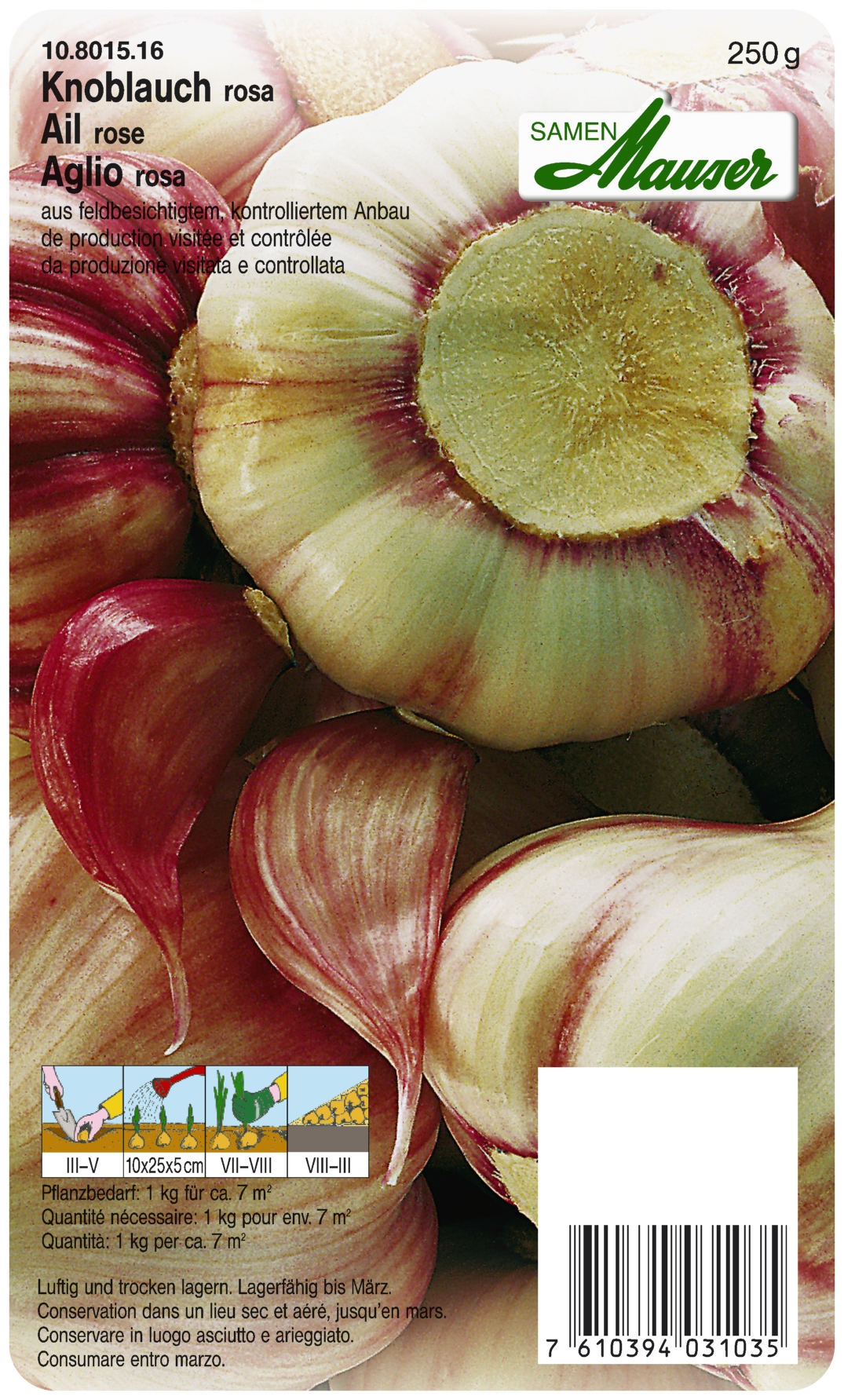 Ail à replanter rose  Printemps 250 g
