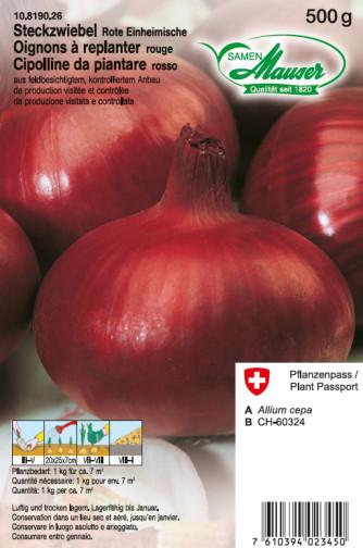 Oignon à replanter 'Rouge'