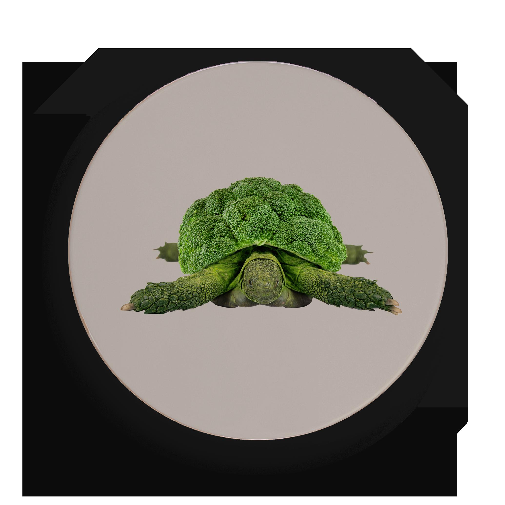 Dessous de plat Turtle rond