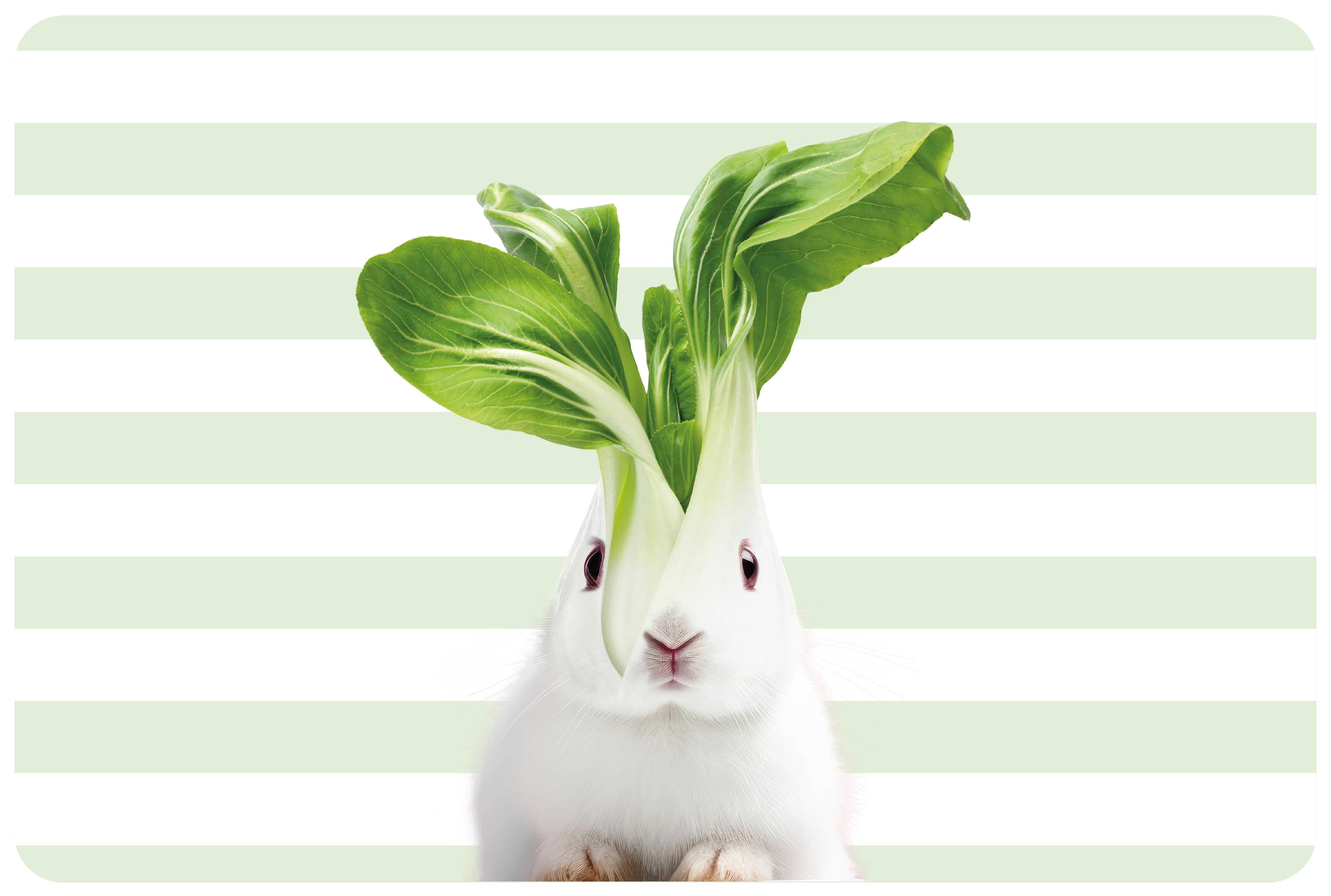 Set de table Rabbit reversible