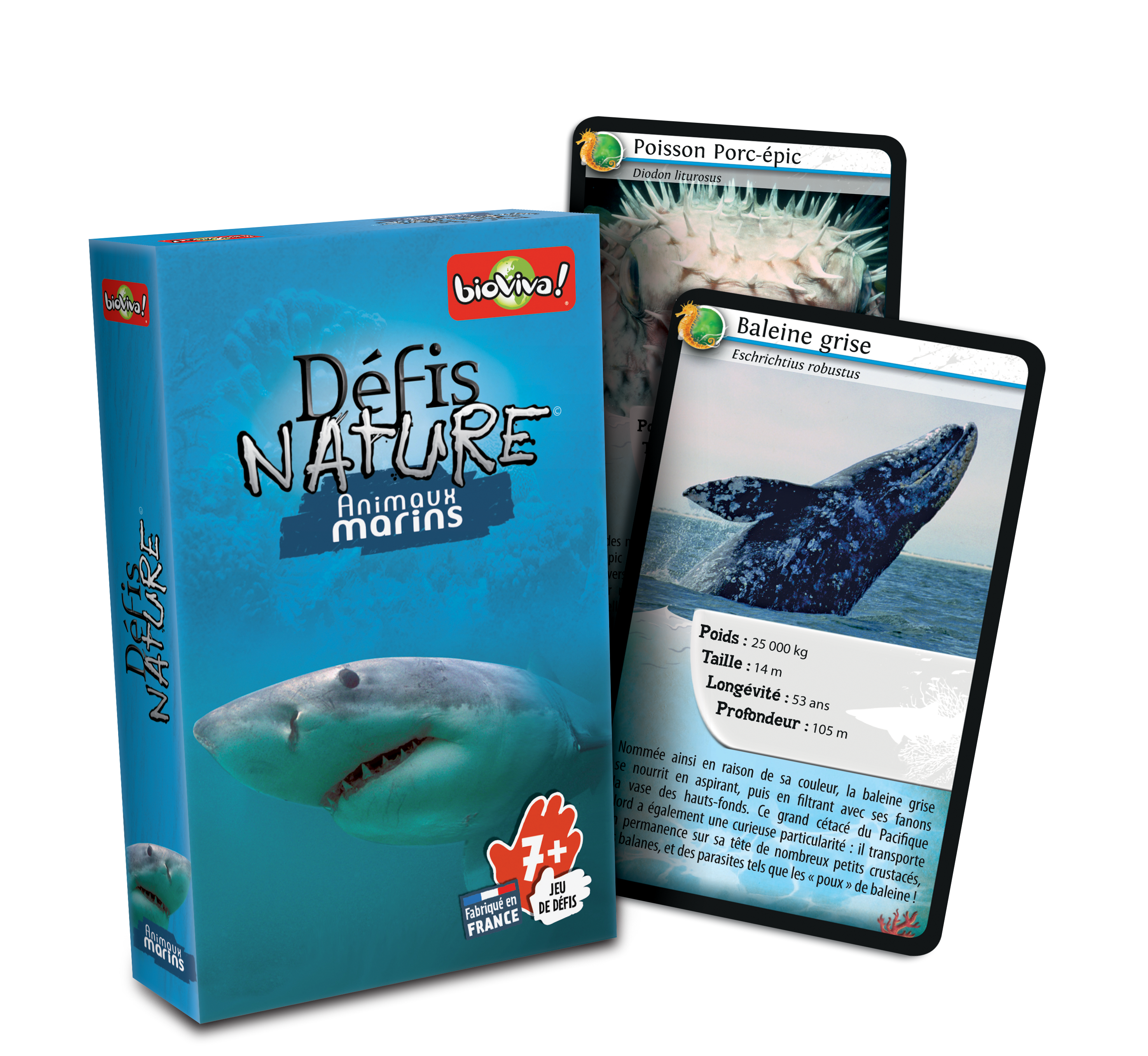 Defis Nature Animaux Marins