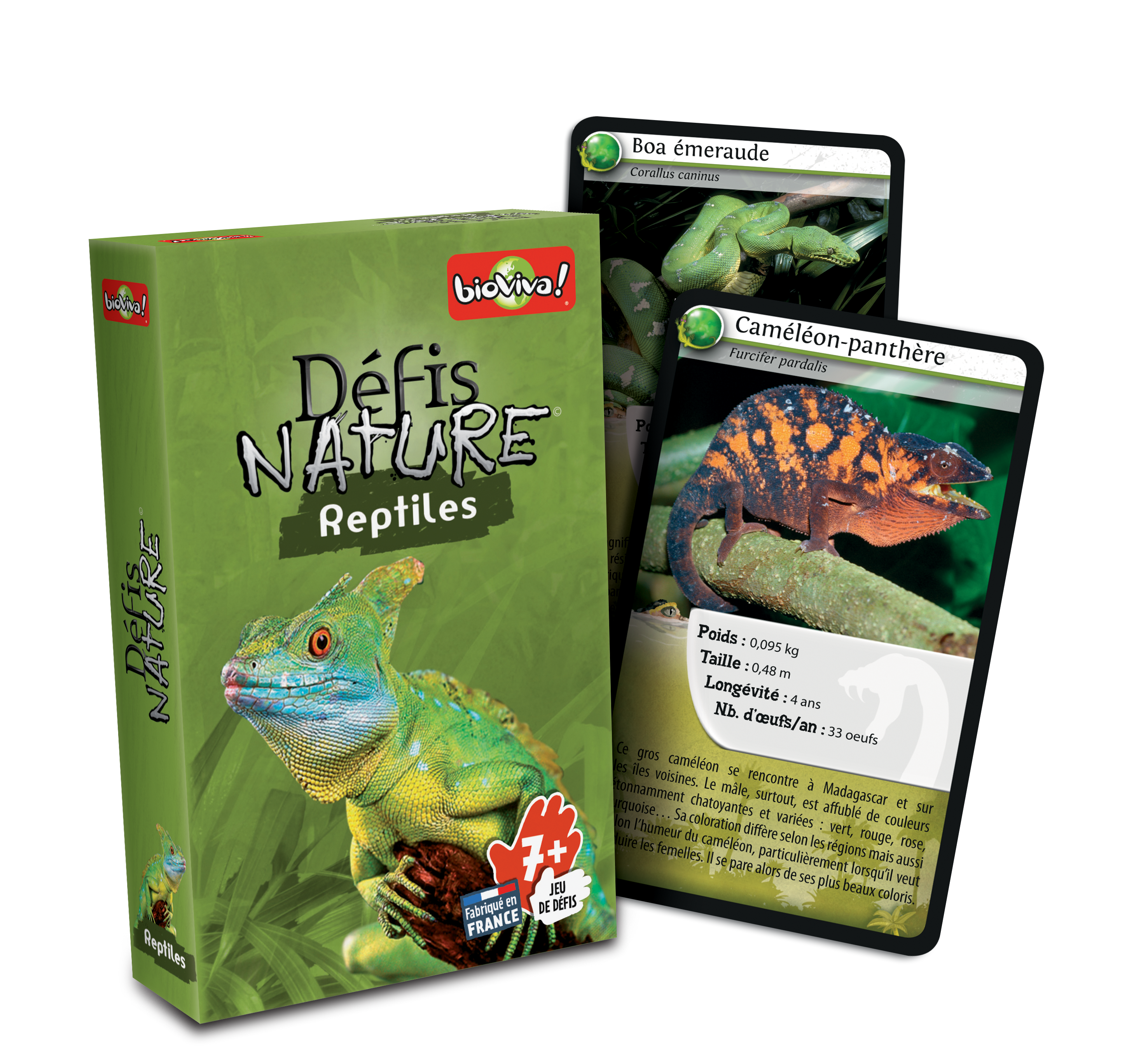 Defis De La Nature Reptiles