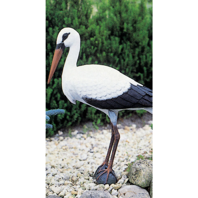 Cigogne