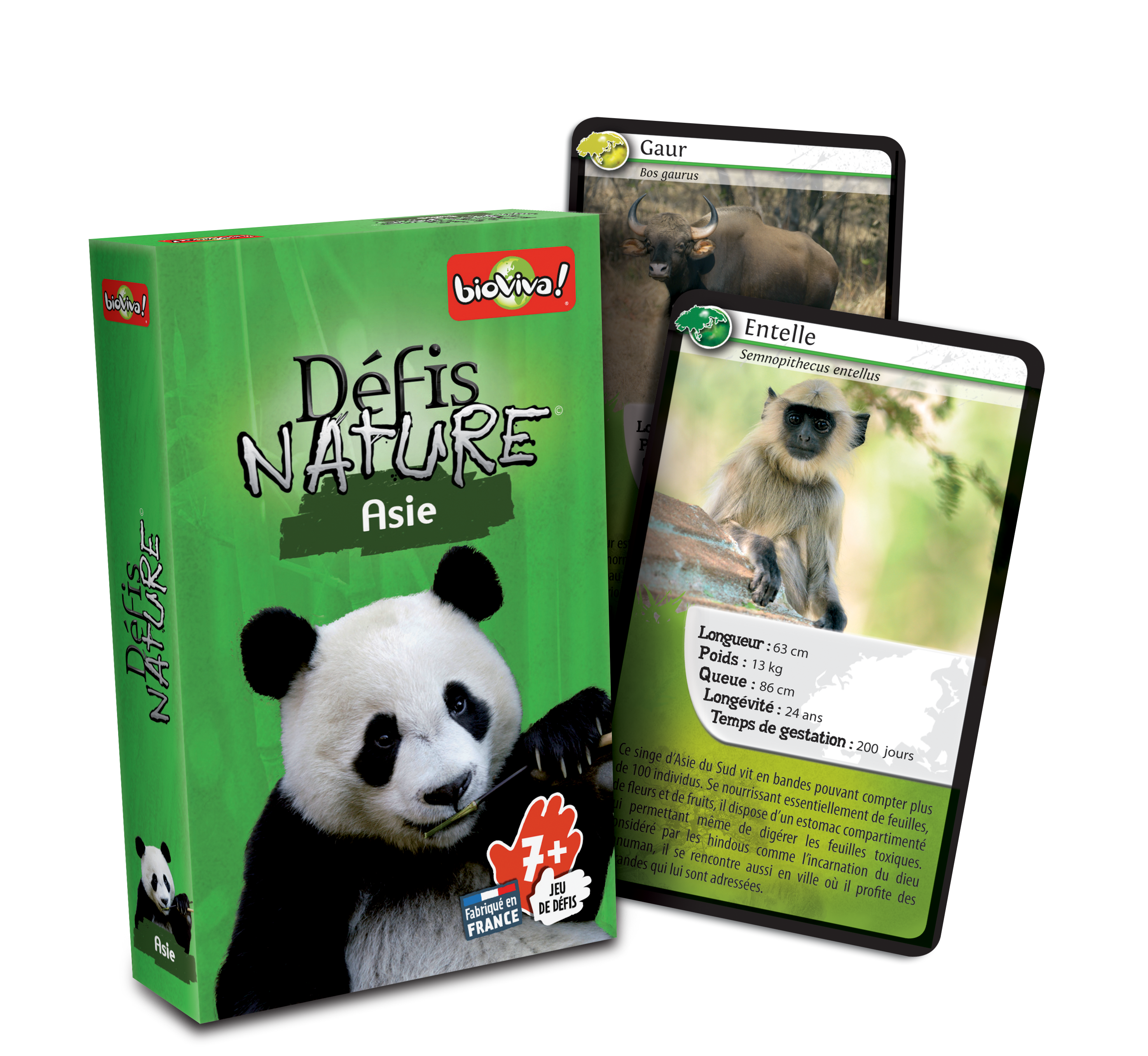 Defis Nature Asie