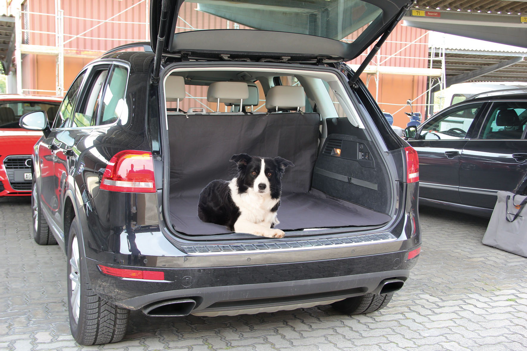 swisspet Couverture Billy 150cm