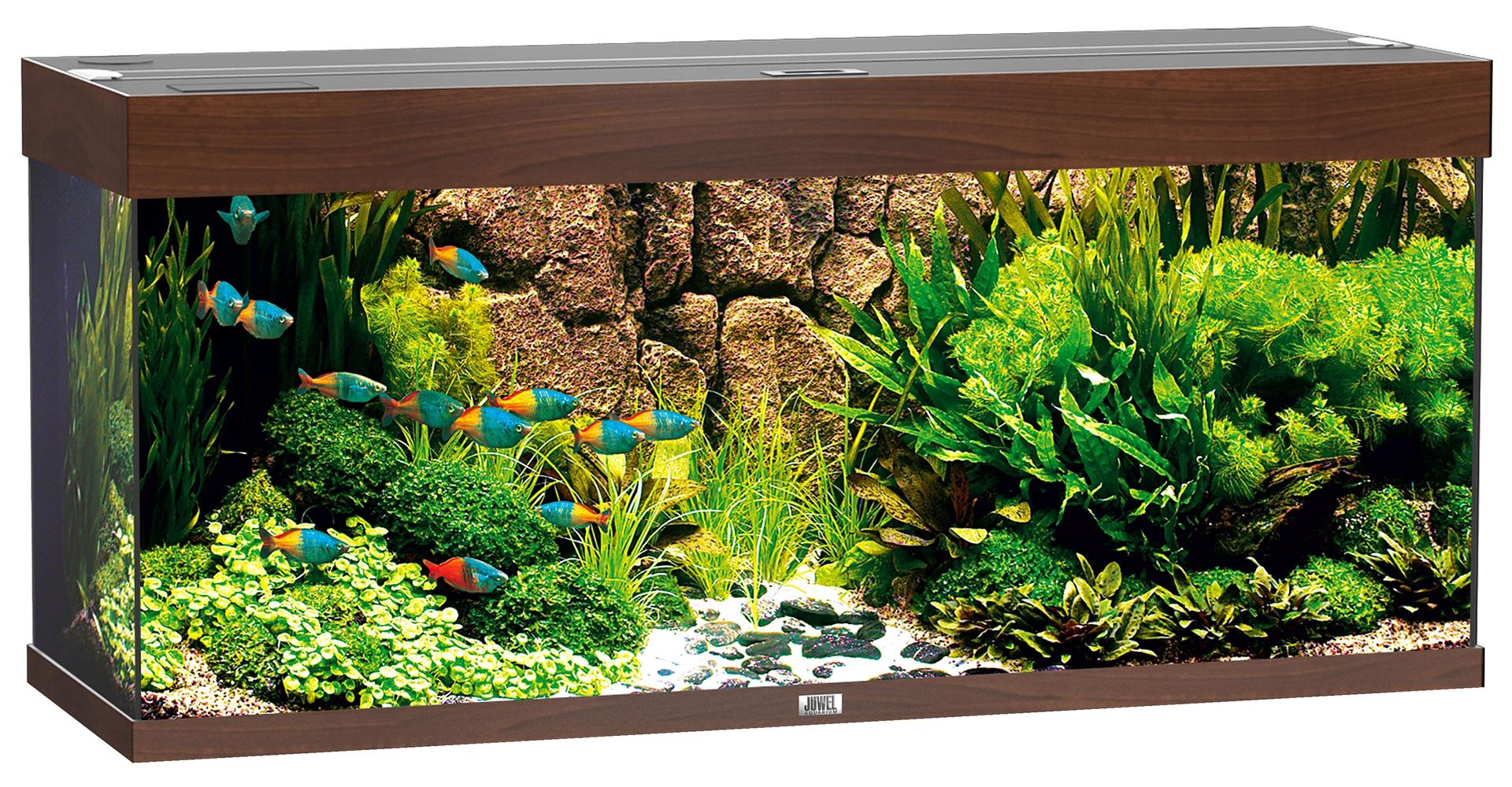 Juwel Aquarium Rio 240 brun foncé LED