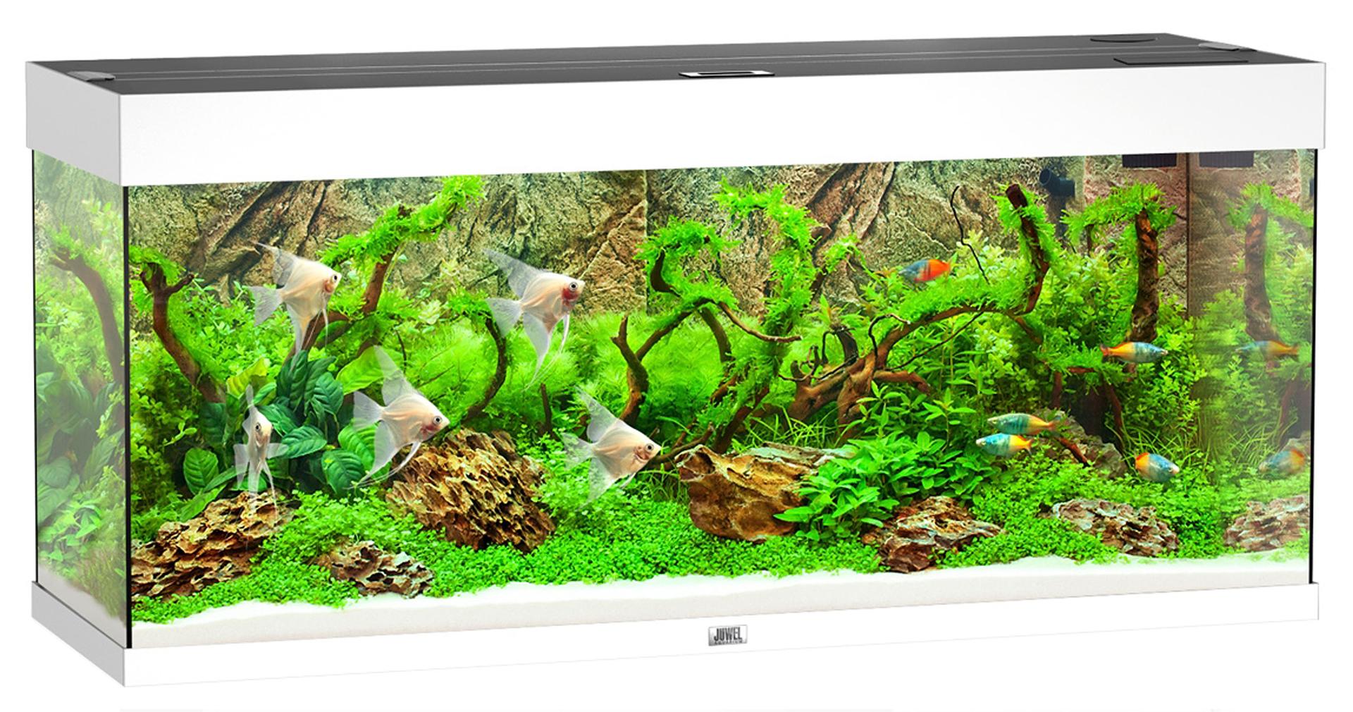 Juwel Aquarium Rio 240 blanc LED