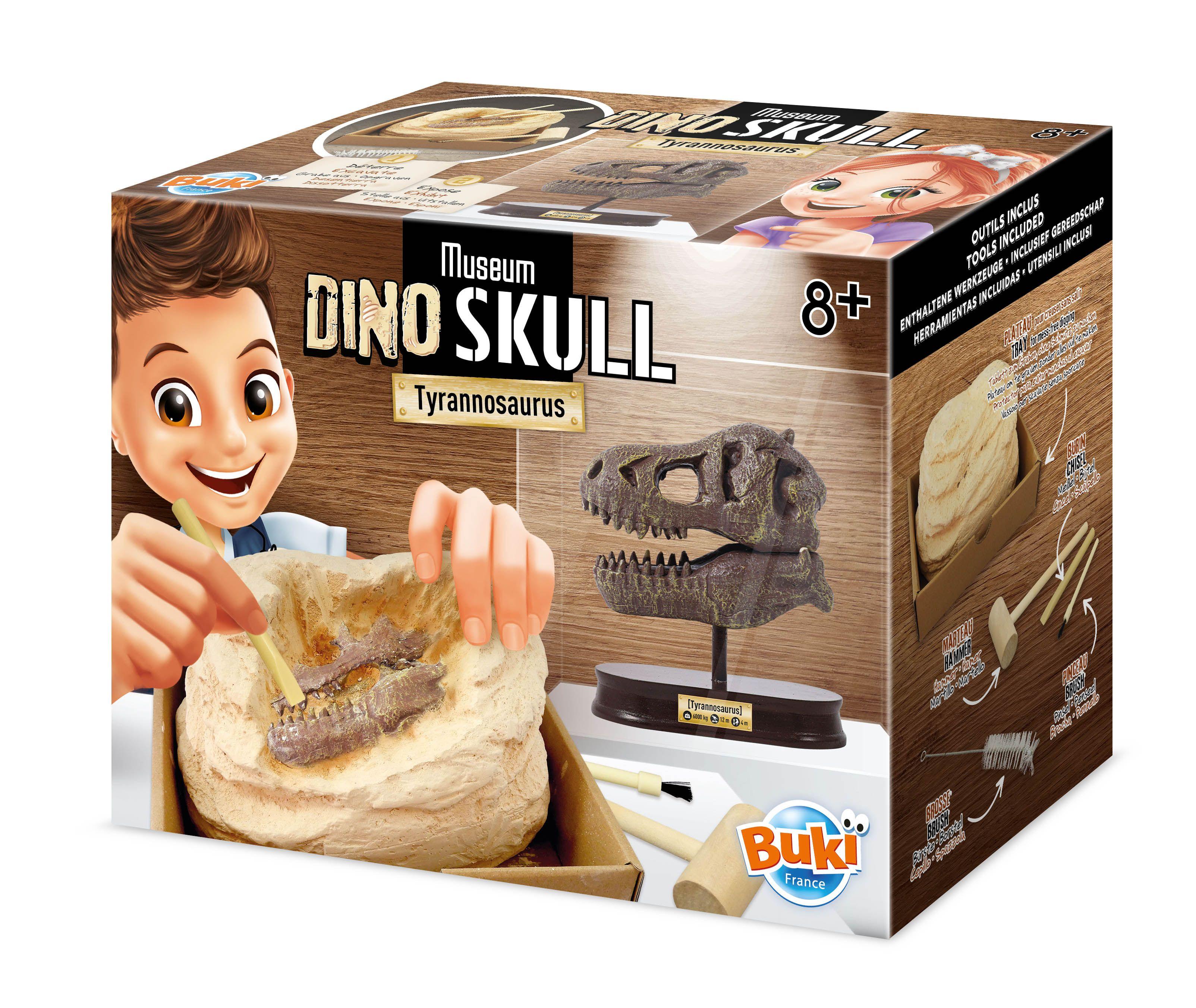 T-Rex Museum Skull
