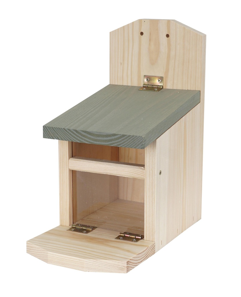 Mangeoire pour écureuils L