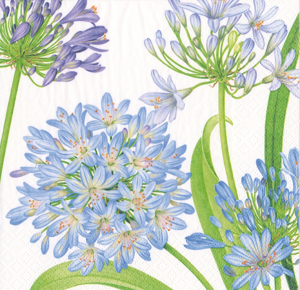 Serviette Cocktail Agapanthus garden