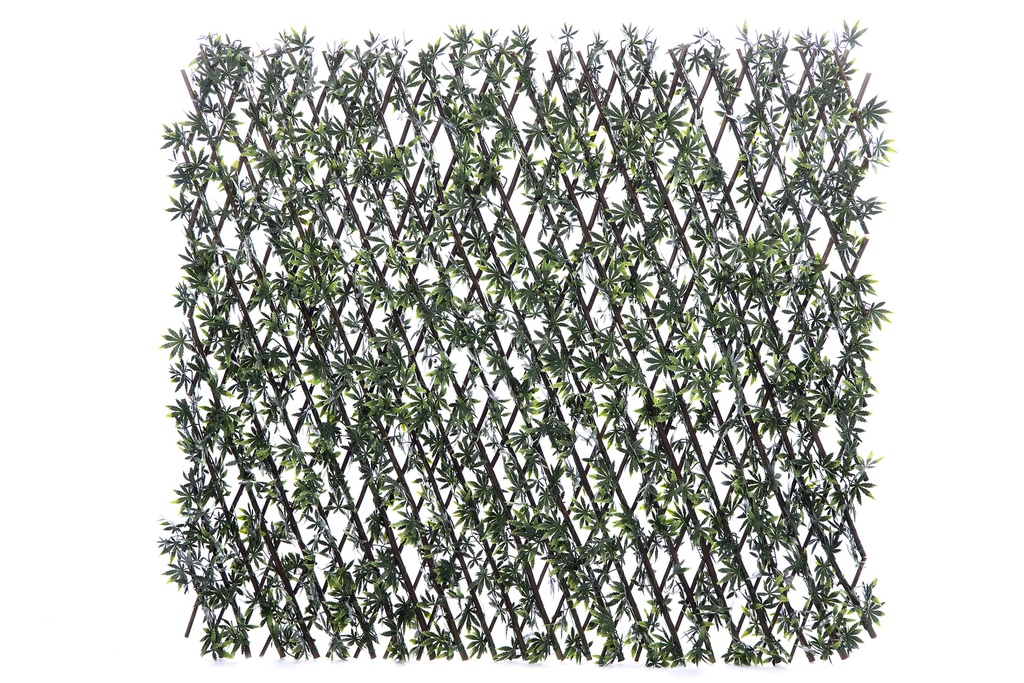 Treillis Saule Extensible Erable Vert