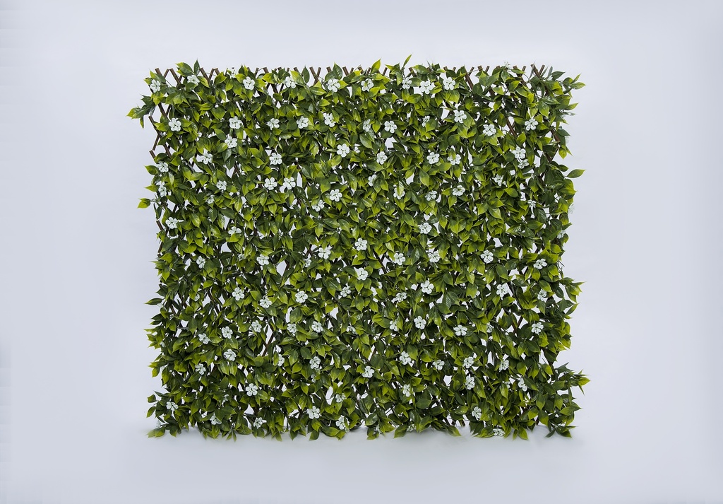 Treillis Saule Extensible Sakura